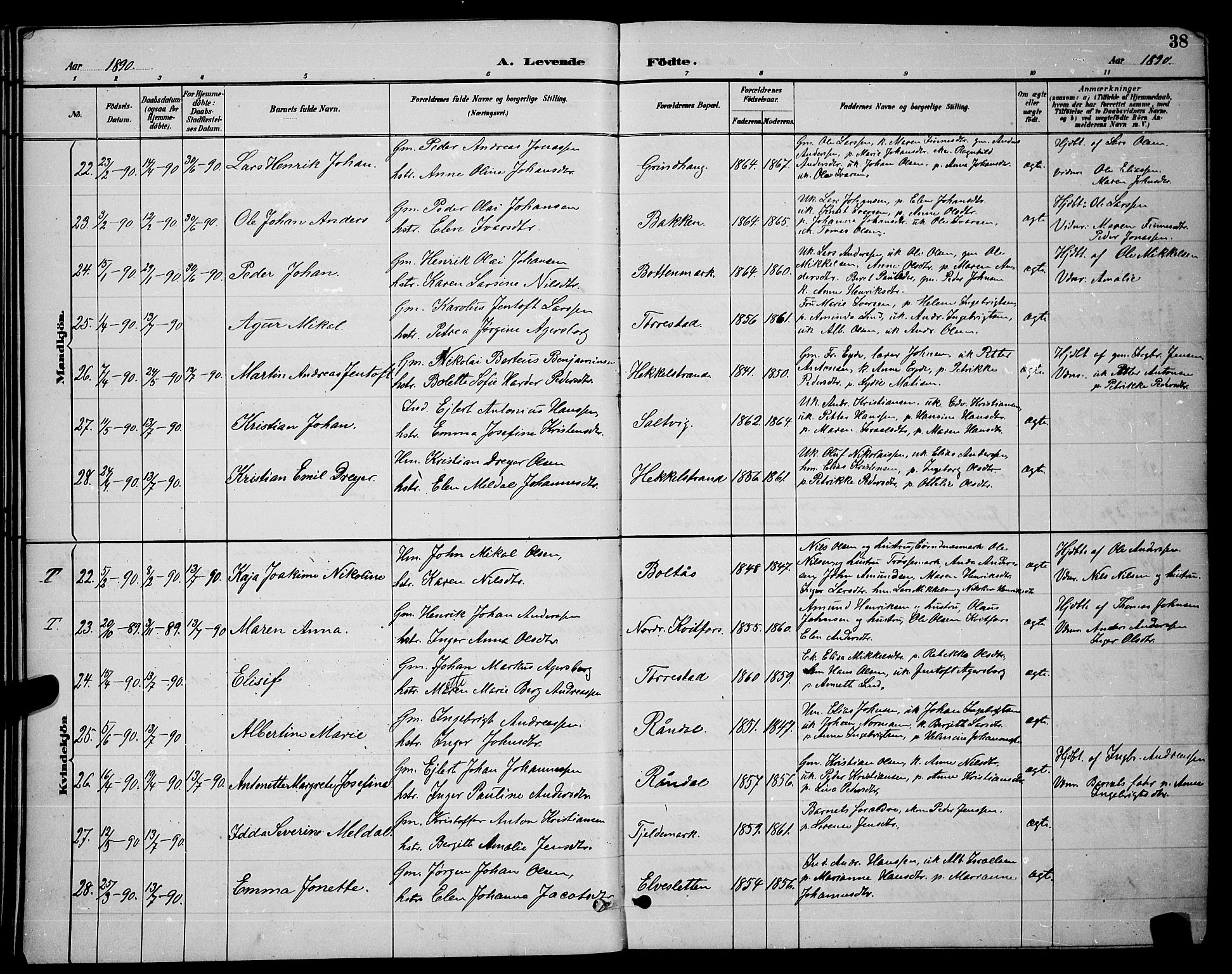 Ministerialprotokoller, klokkerbøker og fødselsregistre - Nordland, AV/SAT-A-1459/863/L0914: Parish register (copy) no. 863C04, 1886-1897, p. 38