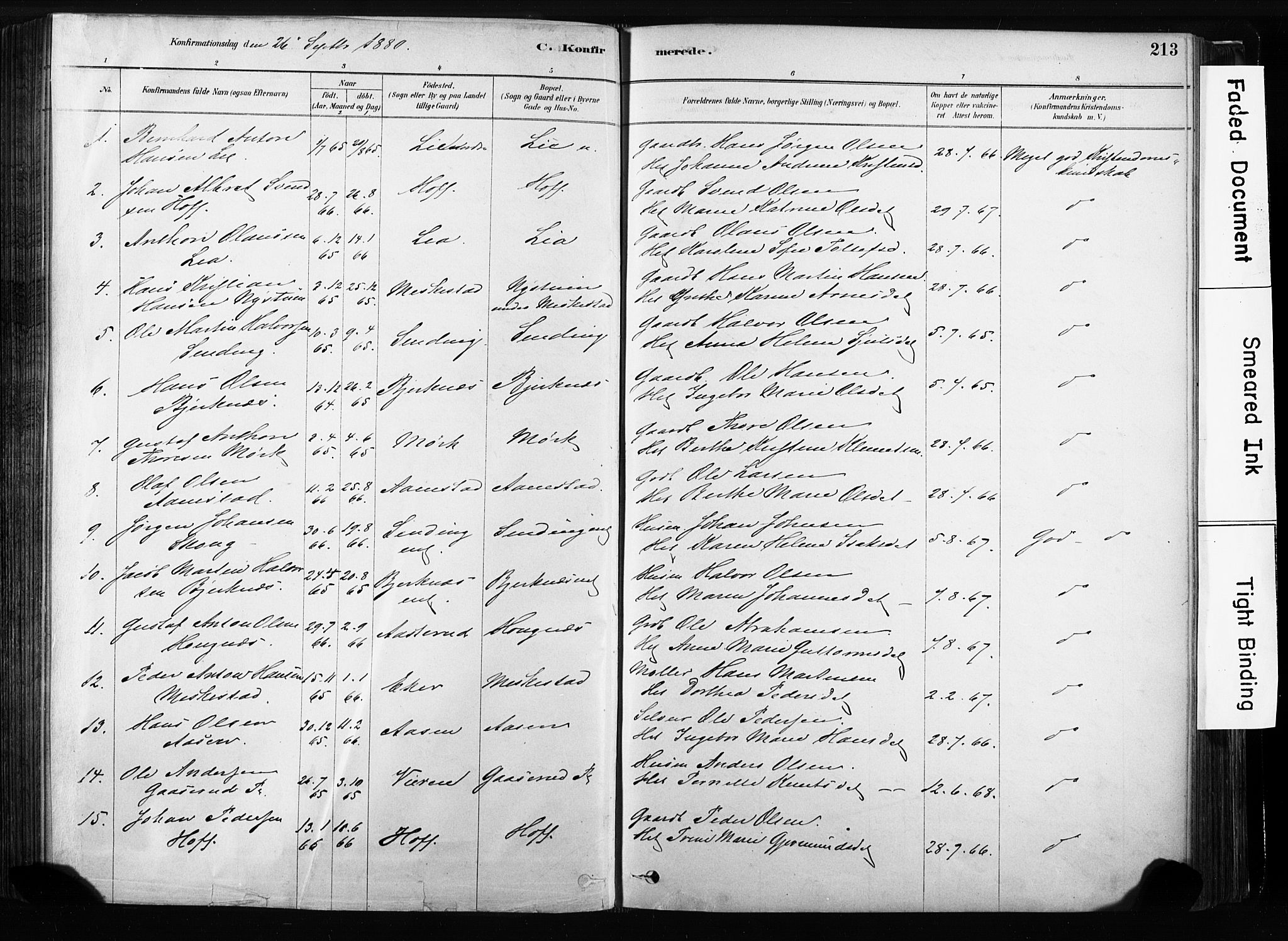 Sandsvær kirkebøker, SAKO/A-244/F/Fb/L0001: Parish register (official) no. II 1, 1878-1906, p. 213