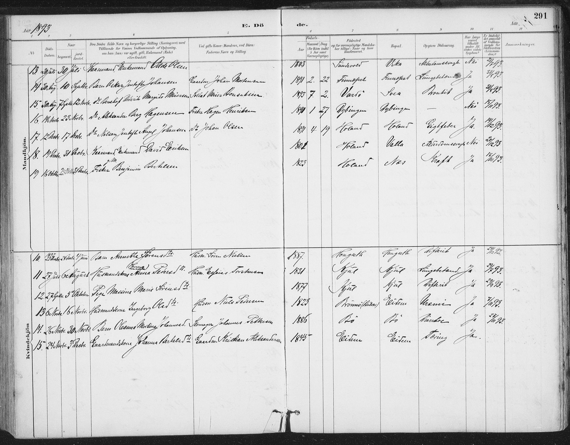 Ministerialprotokoller, klokkerbøker og fødselsregistre - Nordland, AV/SAT-A-1459/816/L0244: Parish register (official) no. 816A10, 1886-1903, p. 291