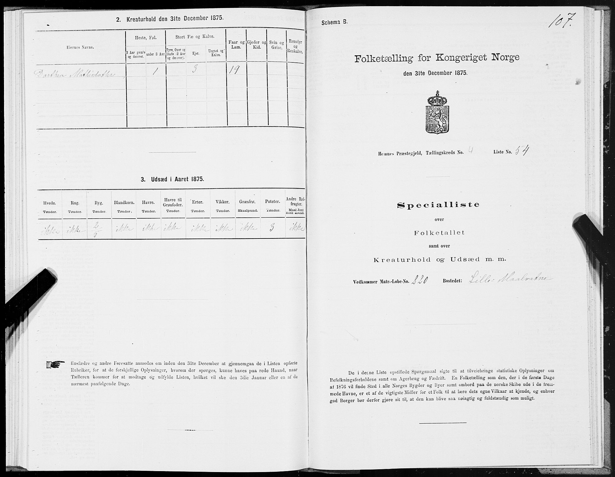 SAT, 1875 census for 1832P Hemnes, 1875, p. 3107