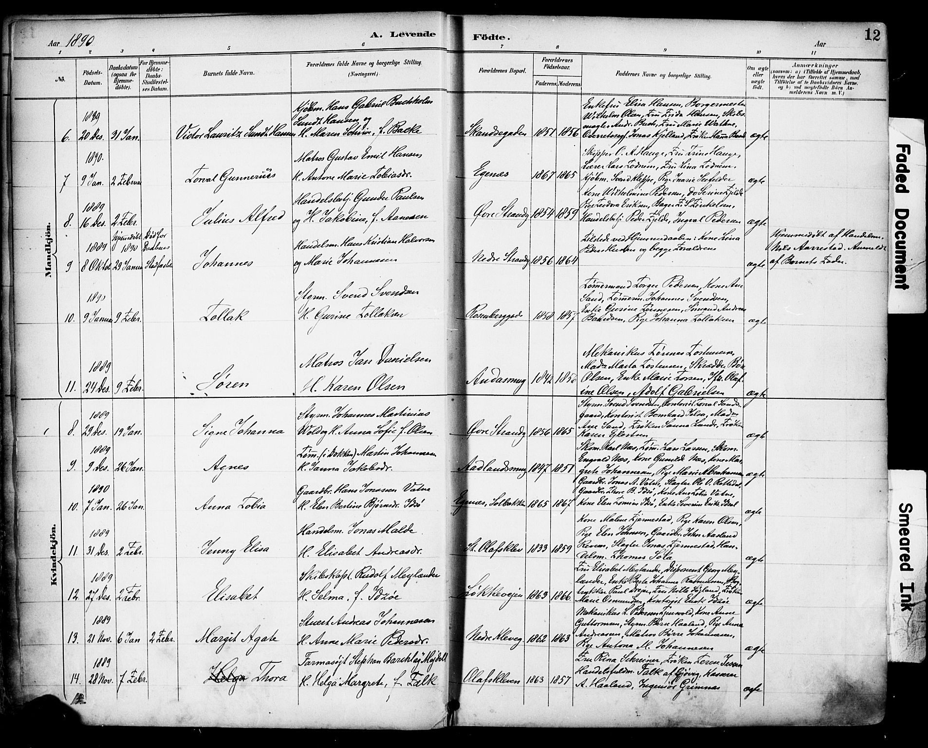 Domkirken sokneprestkontor, SAST/A-101812/001/30/30BA/L0030: Parish register (official) no. A 29, 1889-1902, p. 12