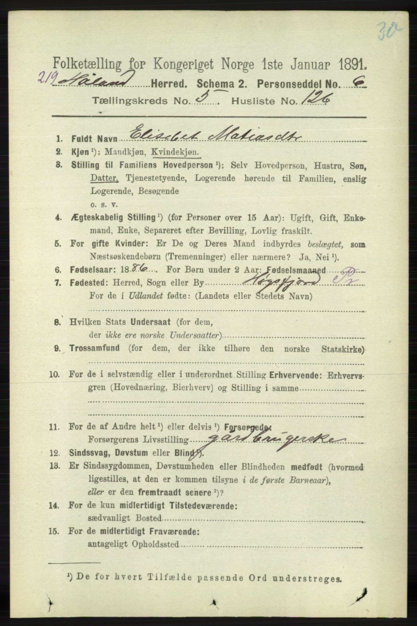 RA, 1891 census for 1124 Haaland, 1891, p. 4058