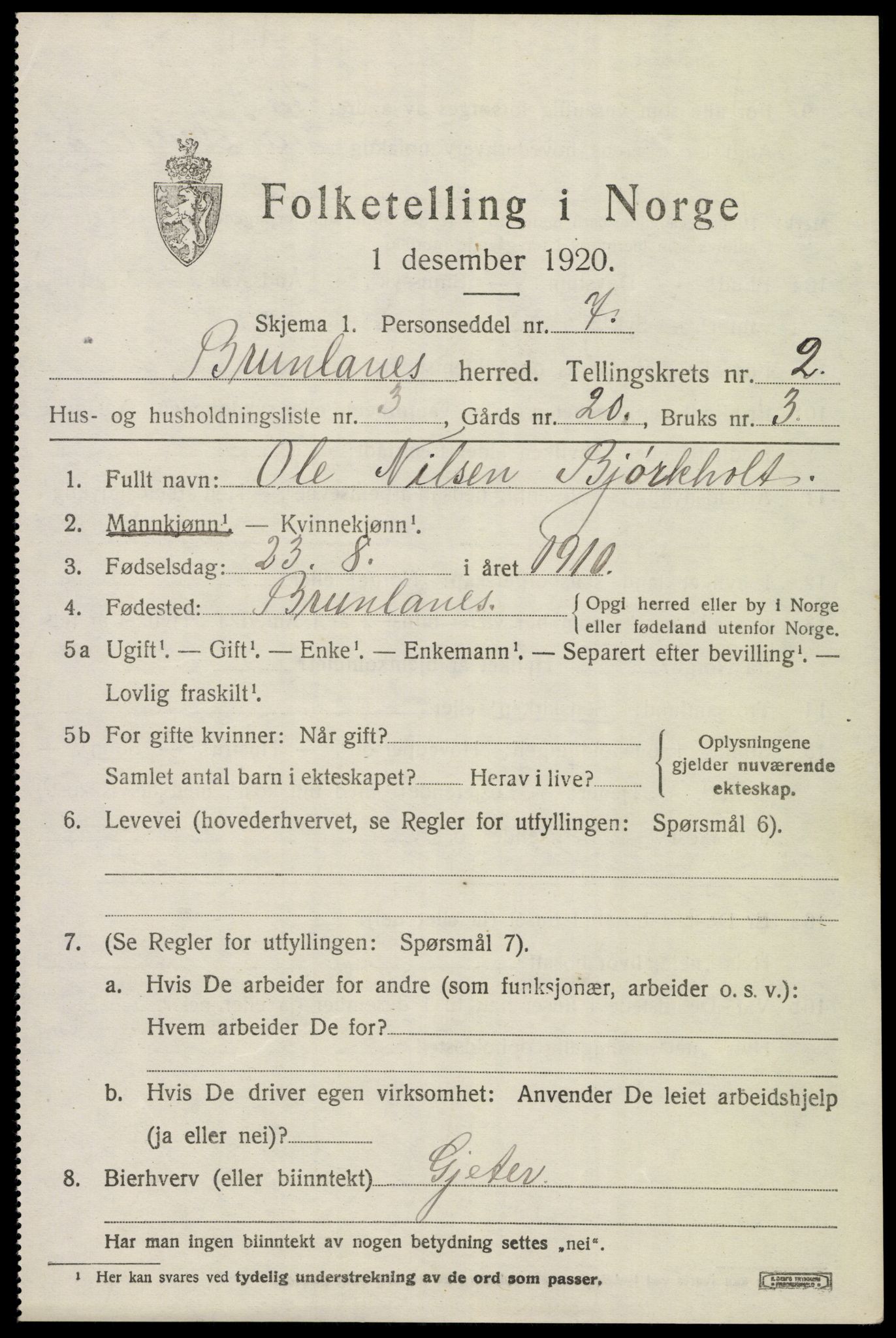 SAKO, 1920 census for Brunlanes, 1920, p. 3351