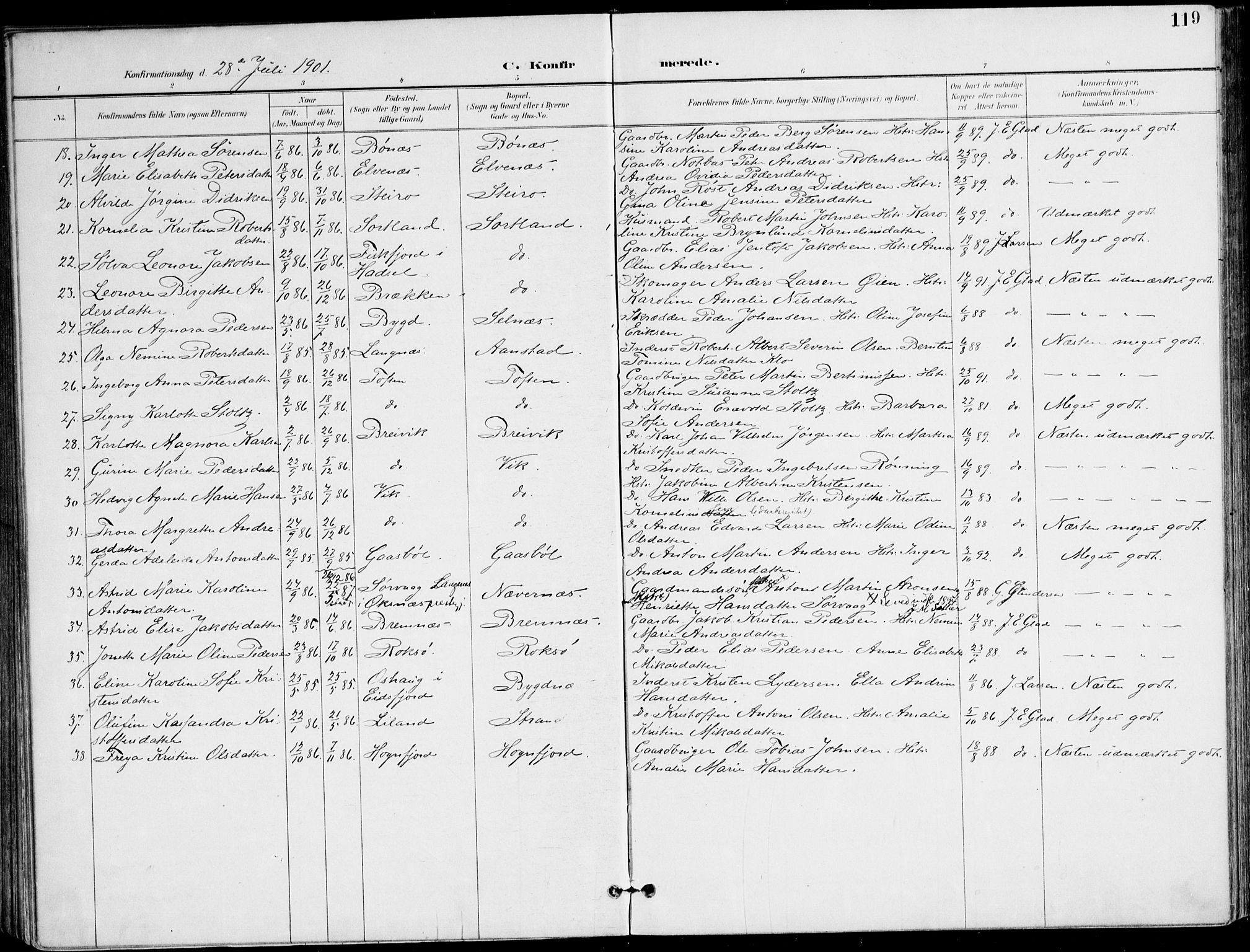 Ministerialprotokoller, klokkerbøker og fødselsregistre - Nordland, AV/SAT-A-1459/895/L1372: Parish register (official) no. 895A07, 1894-1914, p. 119