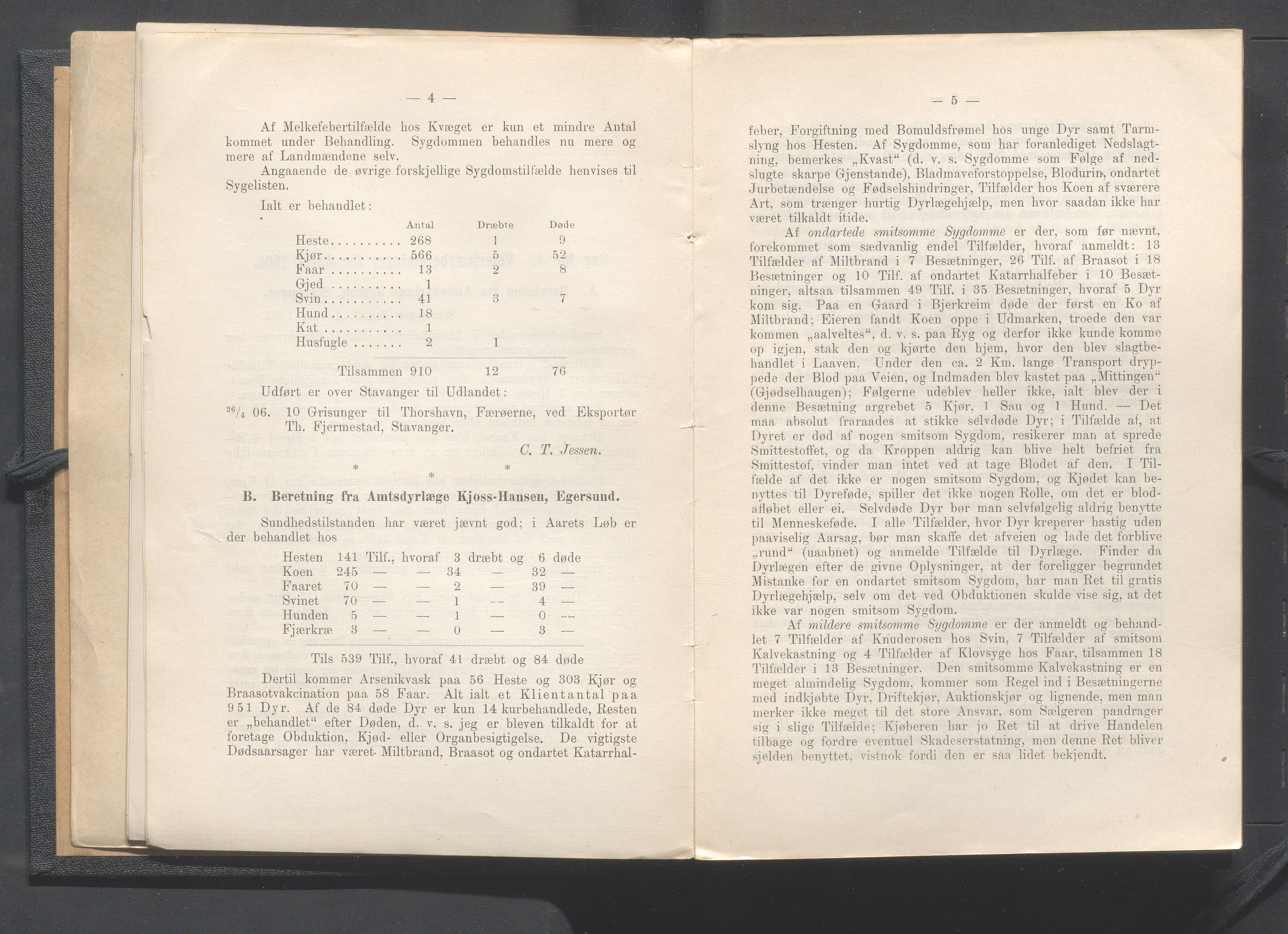 Rogaland fylkeskommune - Fylkesrådmannen , IKAR/A-900/A, 1908, p. 8