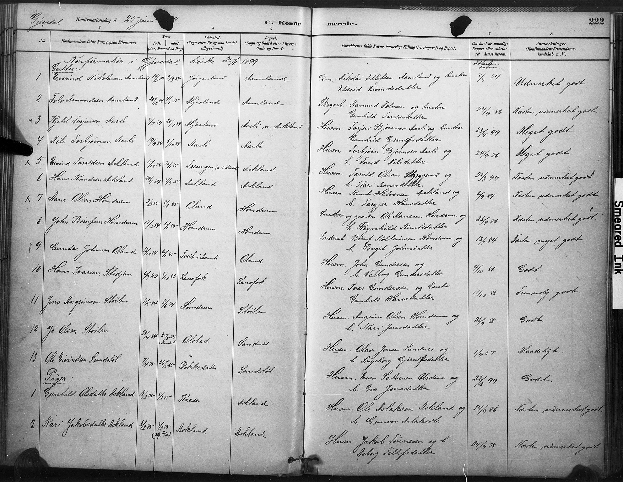 Åmli sokneprestkontor, SAK/1111-0050/F/Fa/Fac/L0010: Parish register (official) no. A 10 /2, 1885-1899, p. 222