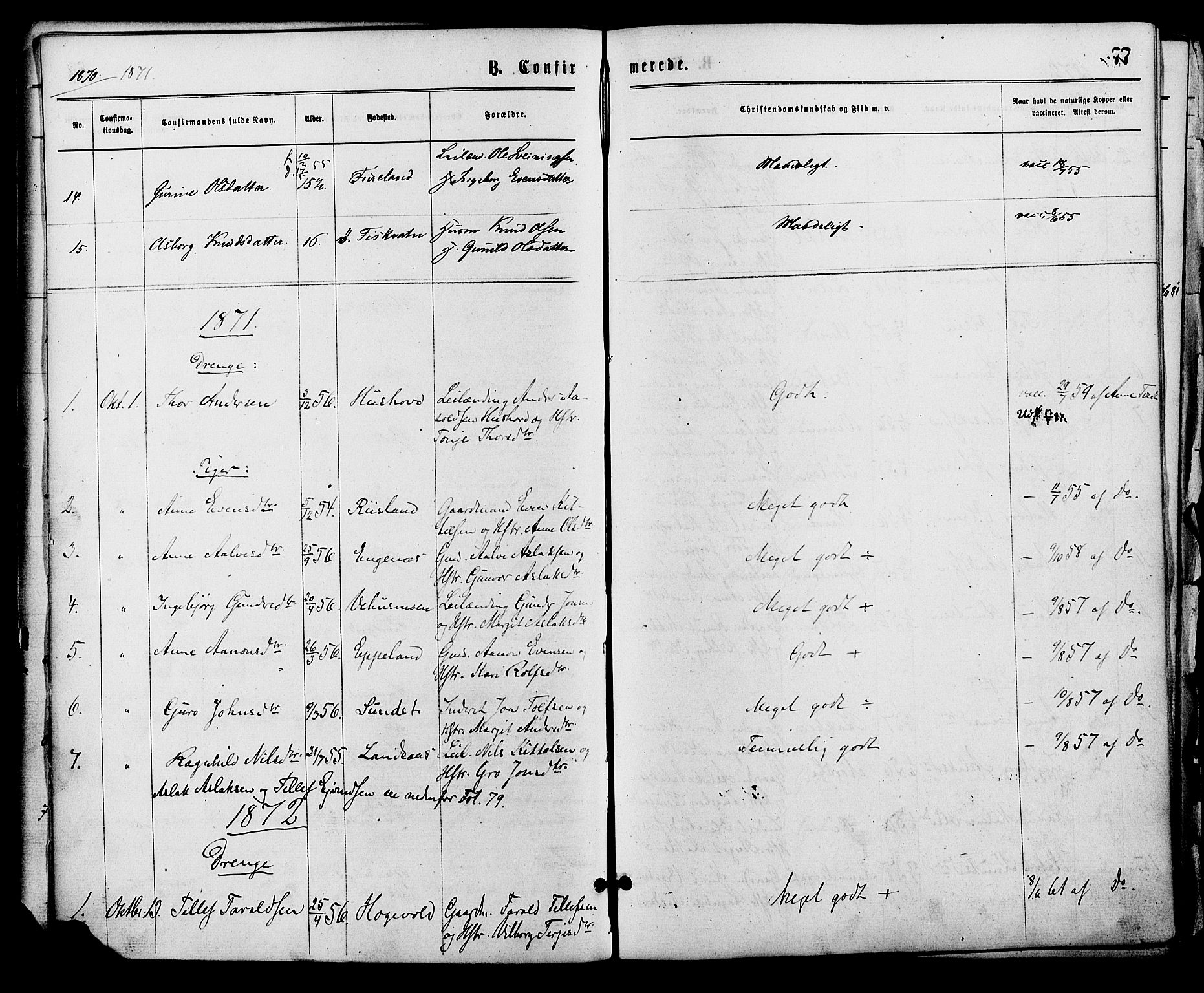 Åmli sokneprestkontor, SAK/1111-0050/F/Fa/Fac/L0009: Parish register (official) no. A 9 /1, 1869-1884, p. 77