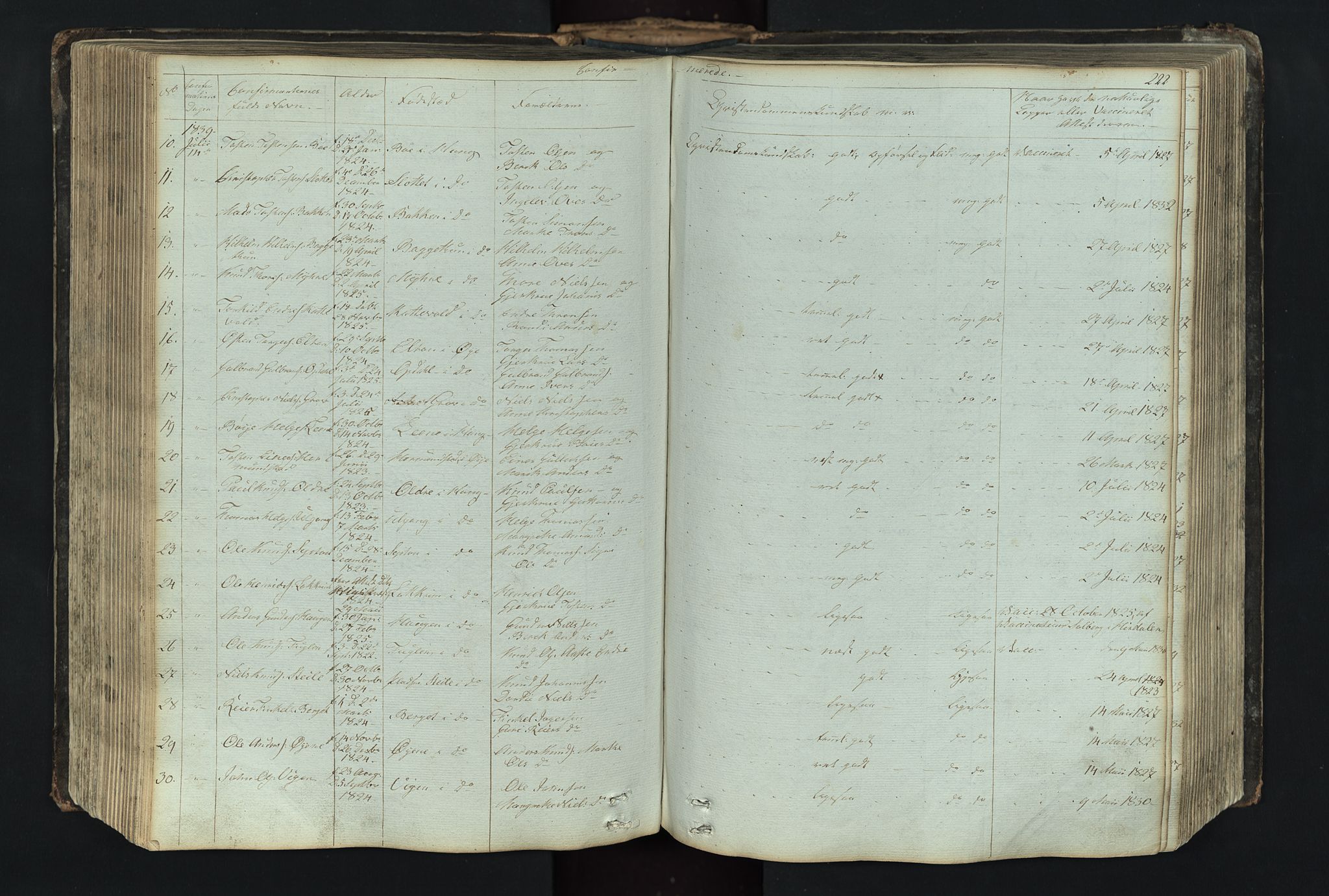 Vang prestekontor, Valdres, SAH/PREST-140/H/Hb/L0004: Parish register (copy) no. 4, 1835-1892, p. 222