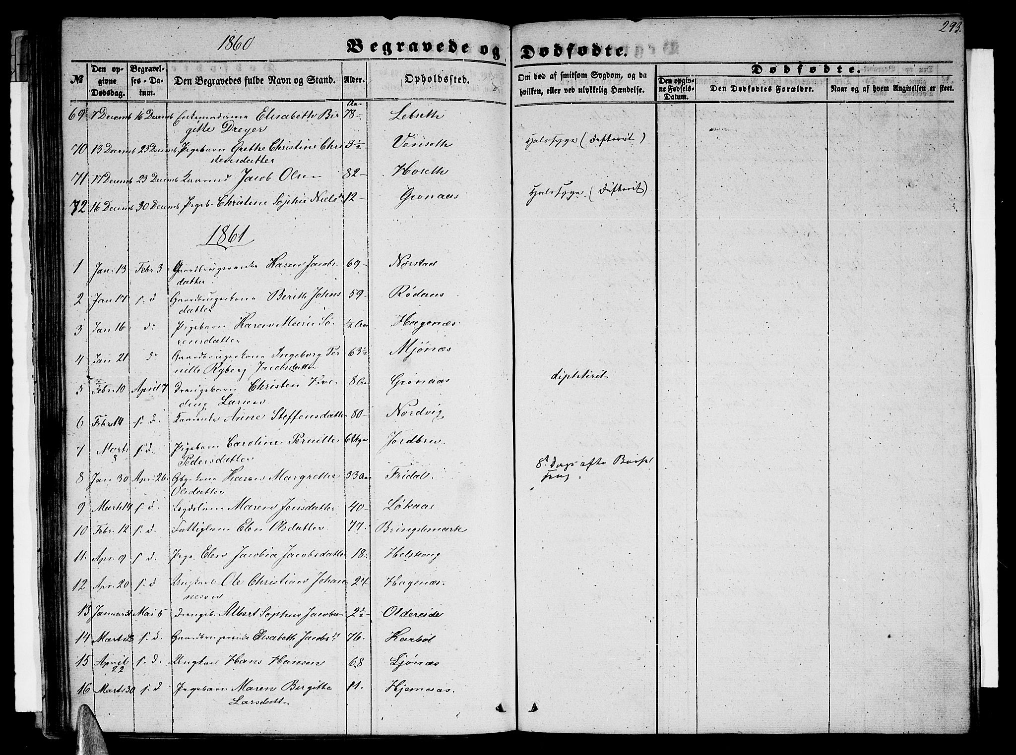 Ministerialprotokoller, klokkerbøker og fødselsregistre - Nordland, AV/SAT-A-1459/852/L0753: Parish register (copy) no. 852C04, 1856-1877, p. 293