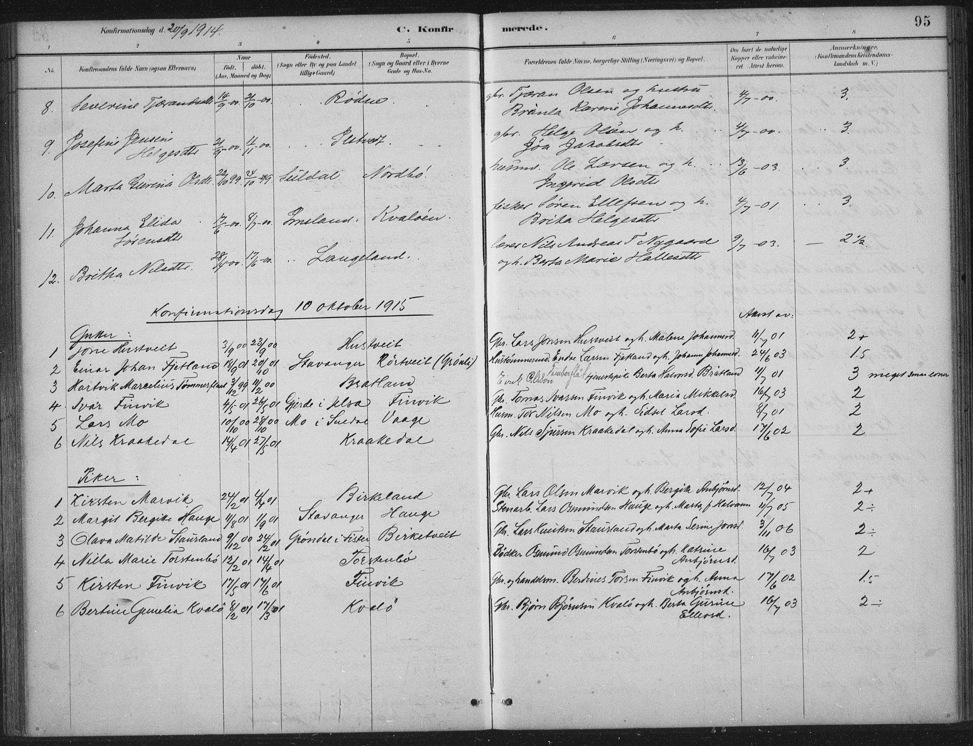 Vikedal sokneprestkontor, AV/SAST-A-101840/01/IV: Parish register (official) no. A 12, 1886-1929, p. 95