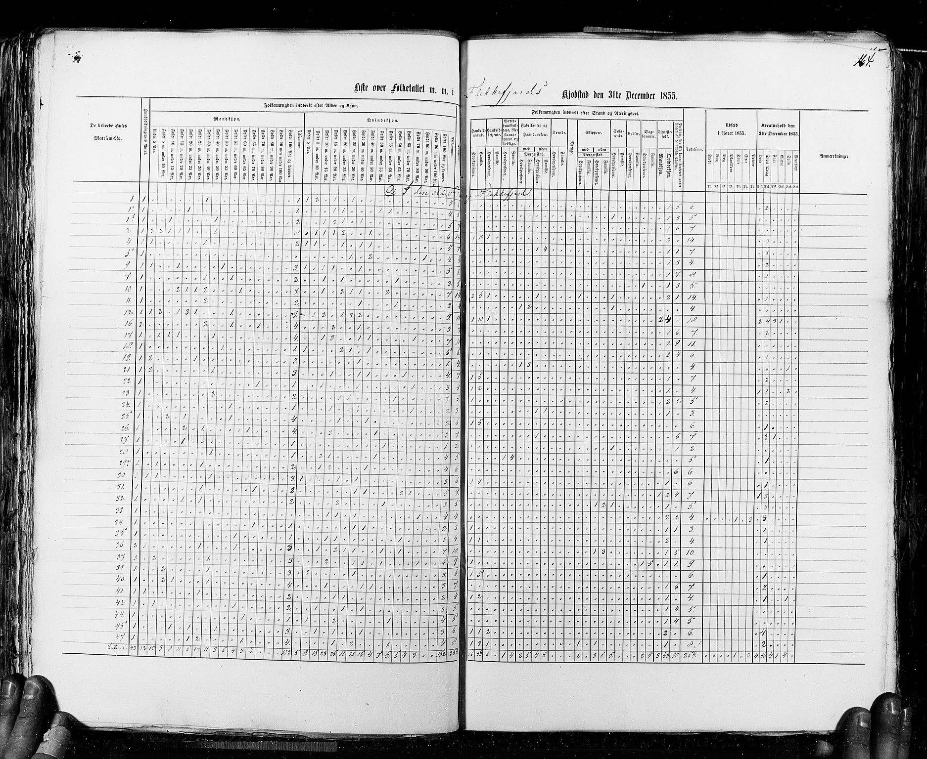 RA, Census 1855, vol. 8: Risør-Vadsø, 1855, p. 164