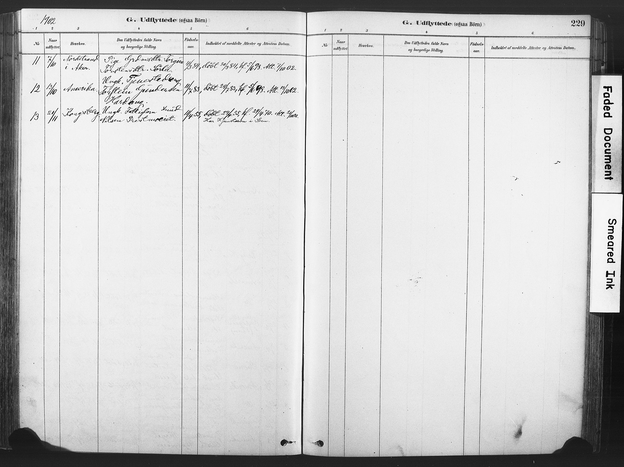 Rollag kirkebøker, AV/SAKO-A-240/F/Fa/L0011: Parish register (official) no. I 11, 1878-1902, p. 229