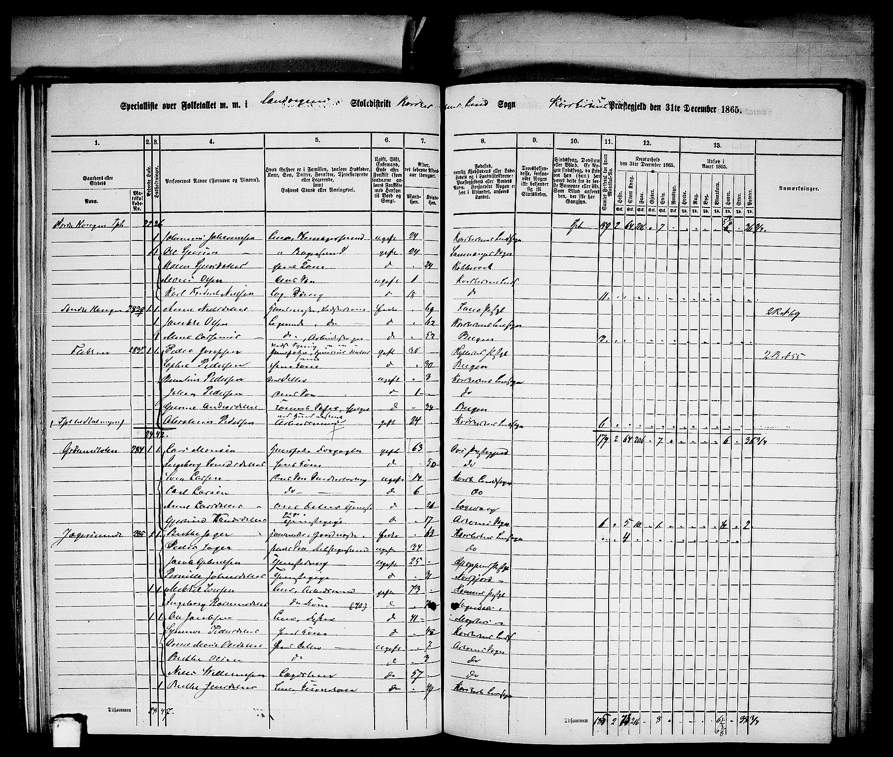 RA, 1865 census for Bergen Landdistrikt/Domkirken og Korskirken, 1865, p. 323