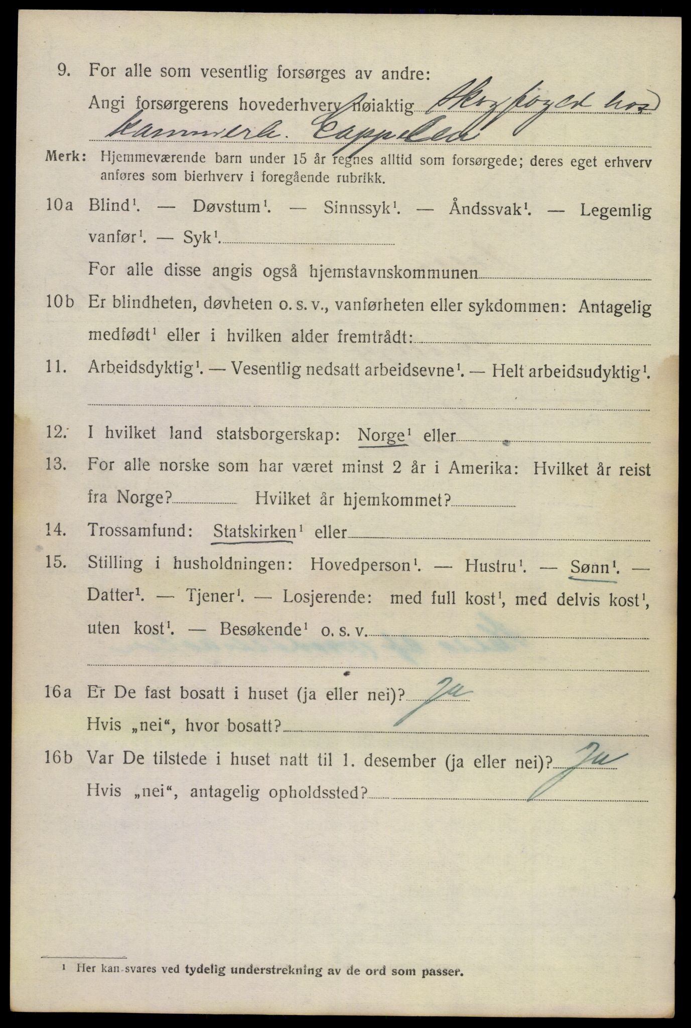 SAKO, 1920 census for Holla, 1920, p. 3618