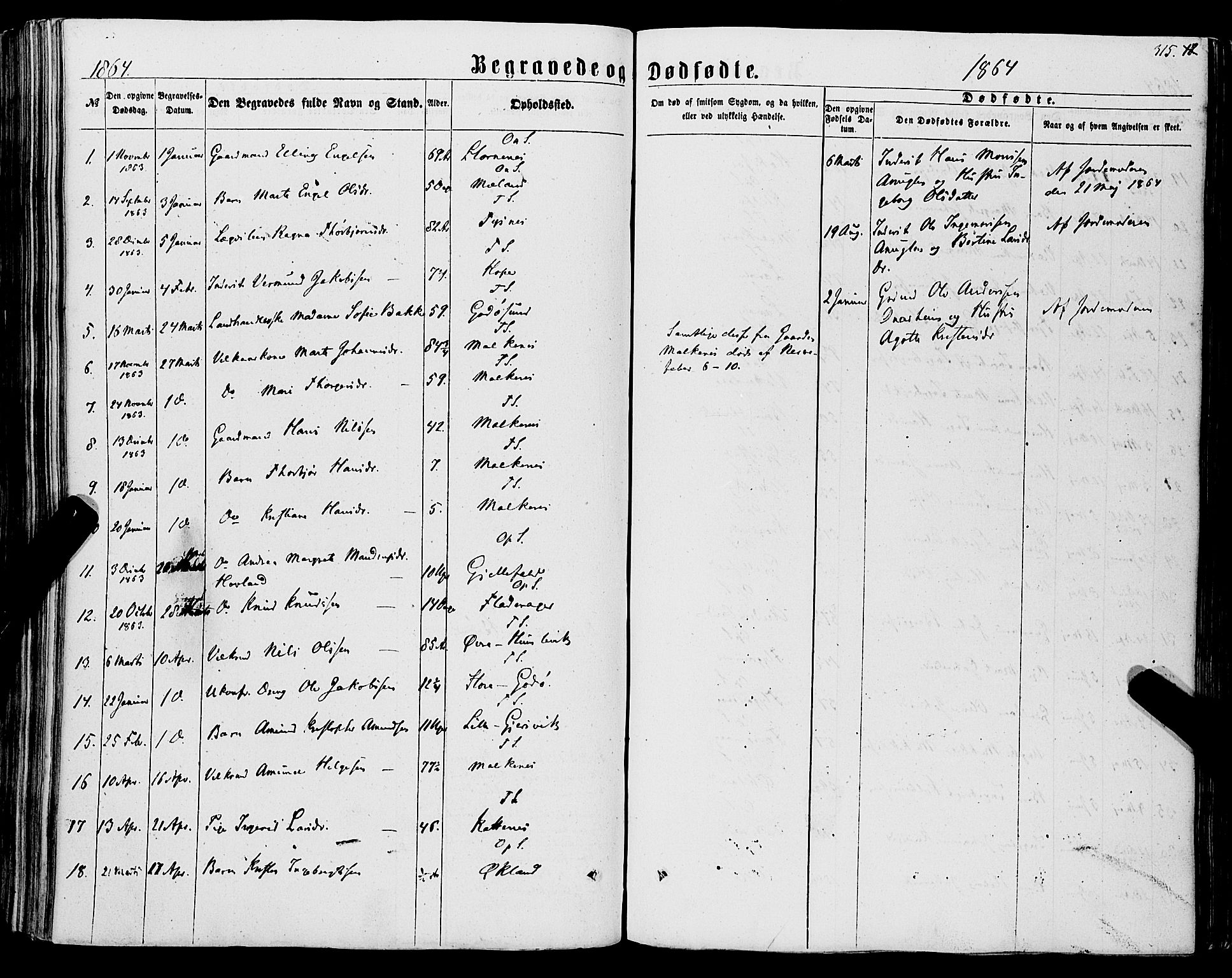 Tysnes sokneprestembete, AV/SAB-A-78601/H/Haa: Parish register (official) no. A 11, 1860-1871, p. 315