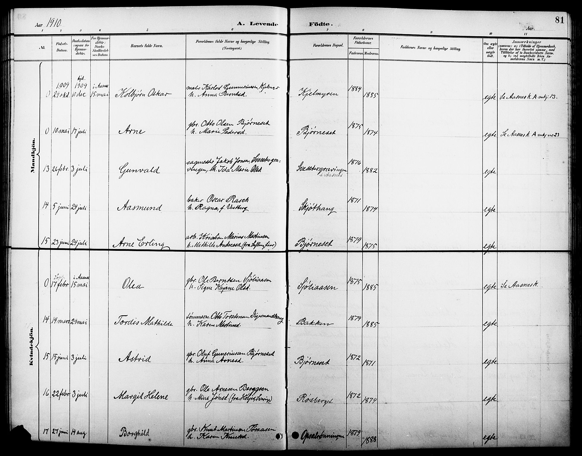 Åsnes prestekontor, AV/SAH-PREST-042/H/Ha/Hab/L0005: Parish register (copy) no. 5, 1895-1920, p. 81