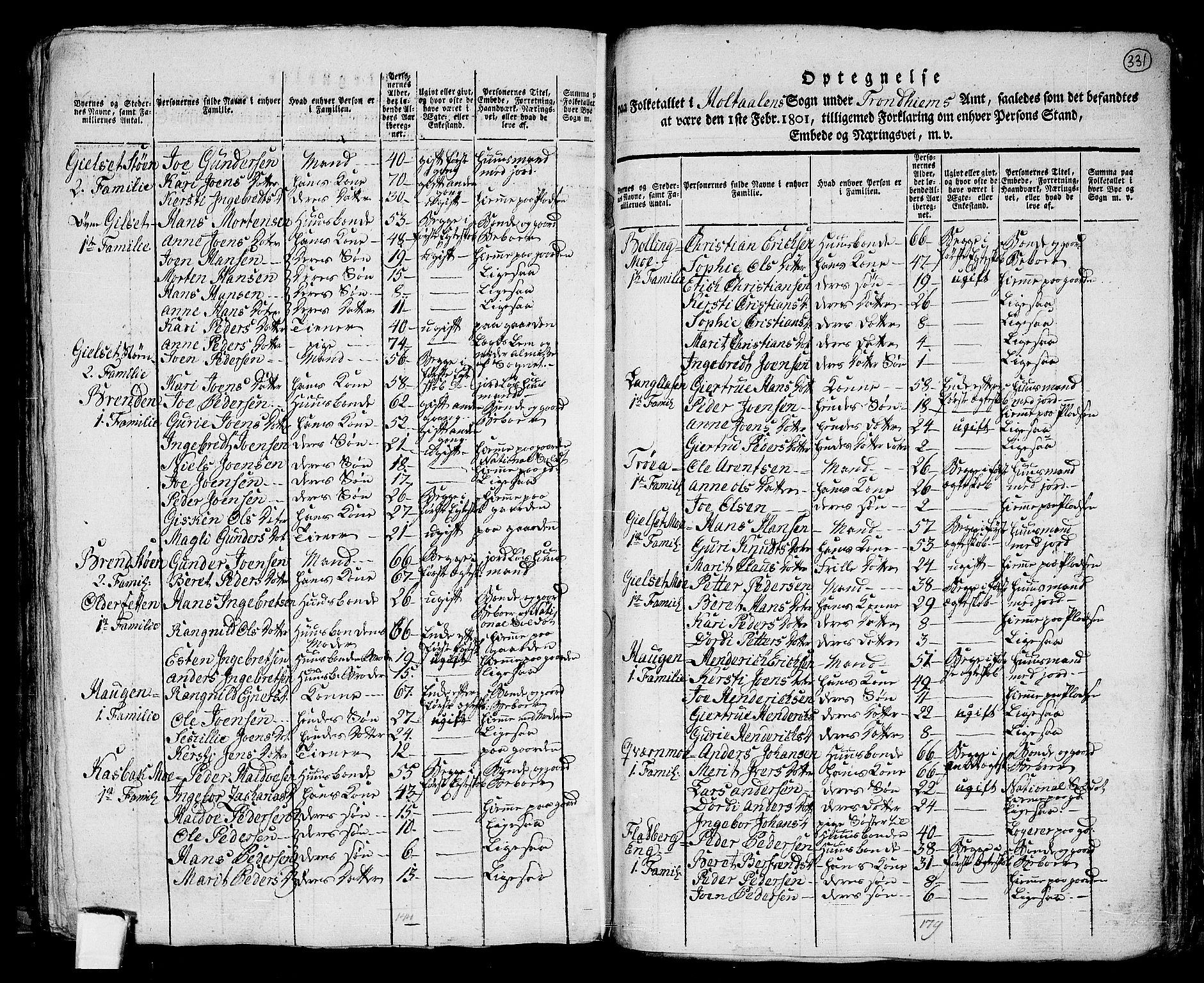 RA, 1801 census for 1645P Haltdalen, 1801, p. 330b-331a