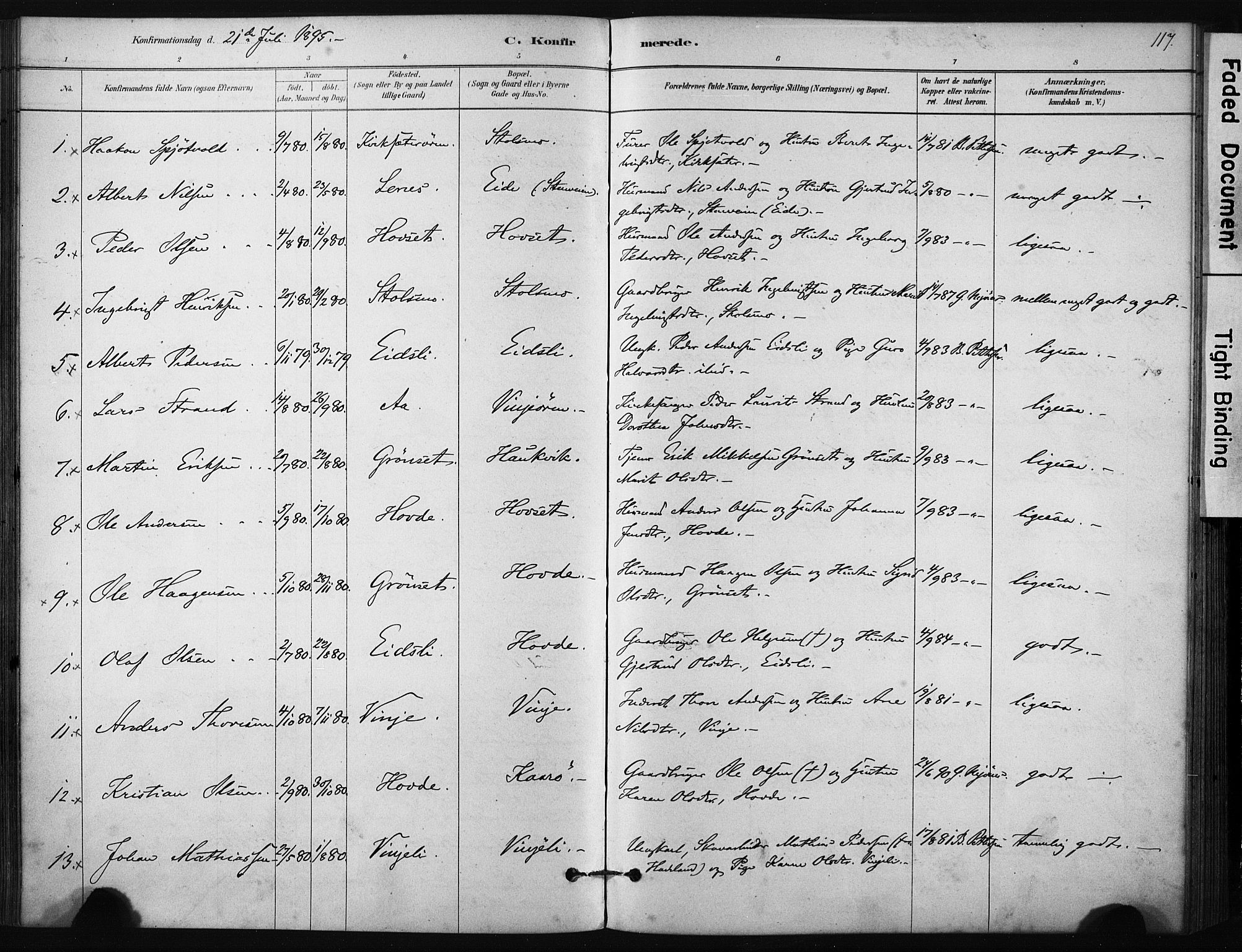 Ministerialprotokoller, klokkerbøker og fødselsregistre - Sør-Trøndelag, AV/SAT-A-1456/631/L0512: Parish register (official) no. 631A01, 1879-1912, p. 117