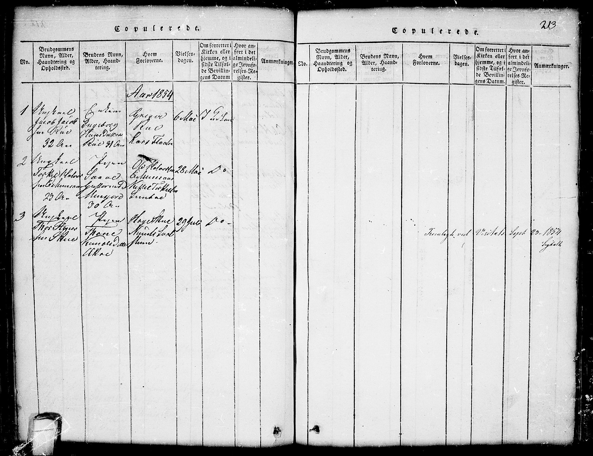 Seljord kirkebøker, SAKO/A-20/G/Gb/L0002: Parish register (copy) no. II 2, 1815-1854, p. 213