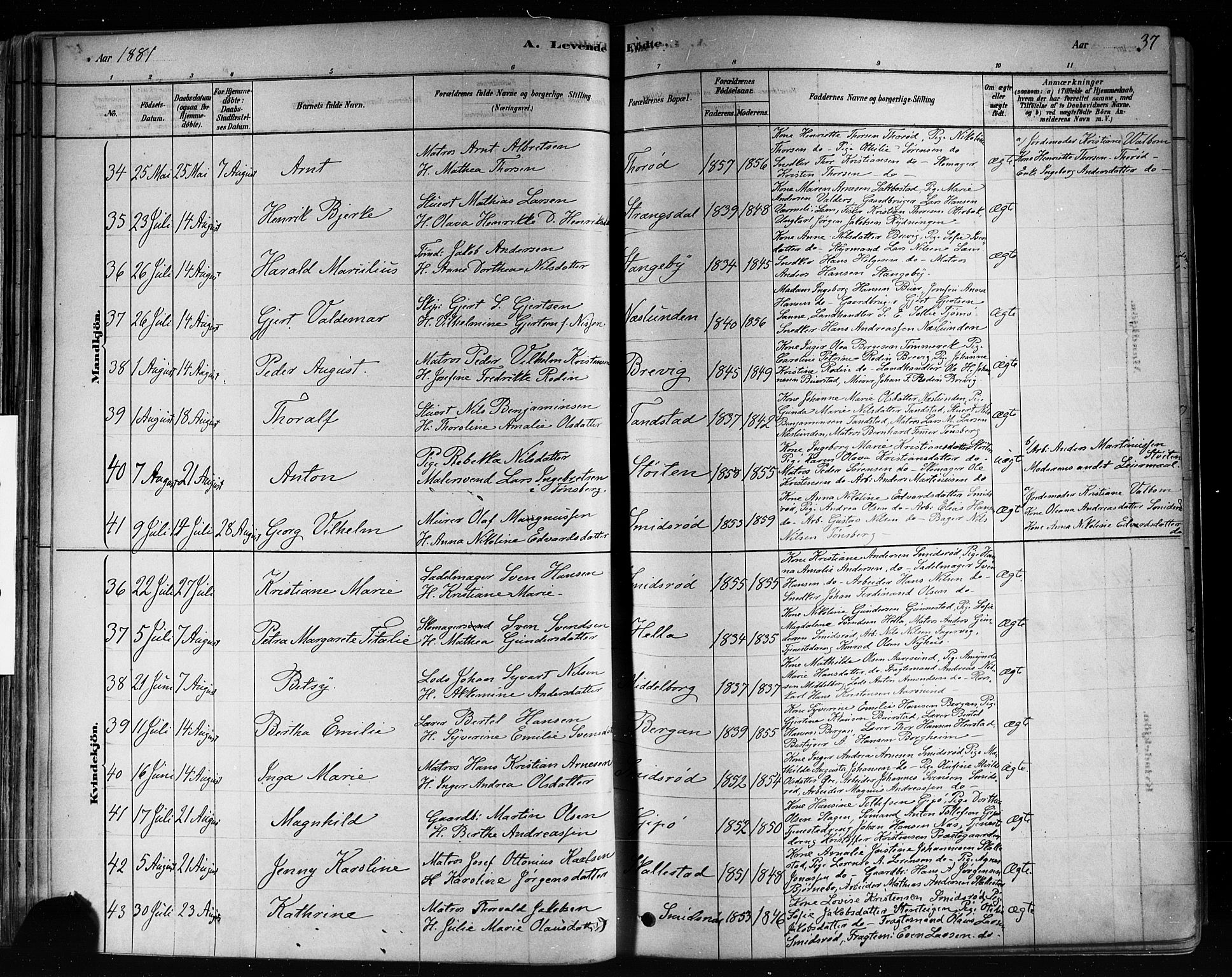 Nøtterøy kirkebøker, AV/SAKO-A-354/F/Fa/L0008: Parish register (official) no. I 8, 1878-1893, p. 37