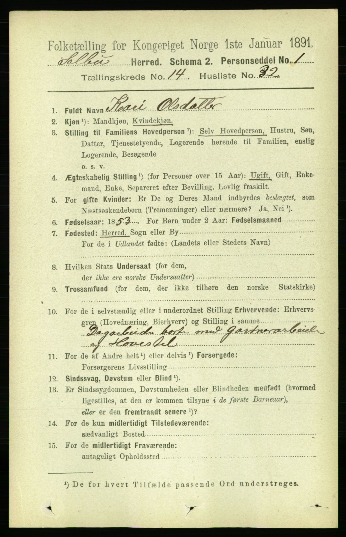 RA, 1891 census for 1664 Selbu, 1891, p. 5290