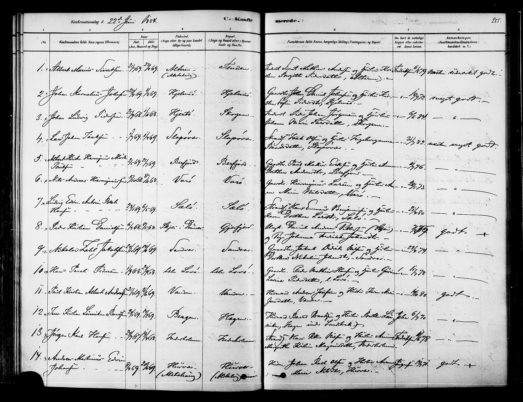 Ministerialprotokoller, klokkerbøker og fødselsregistre - Nordland, AV/SAT-A-1459/834/L0507: Parish register (official) no. 834A05, 1878-1892, p. 255