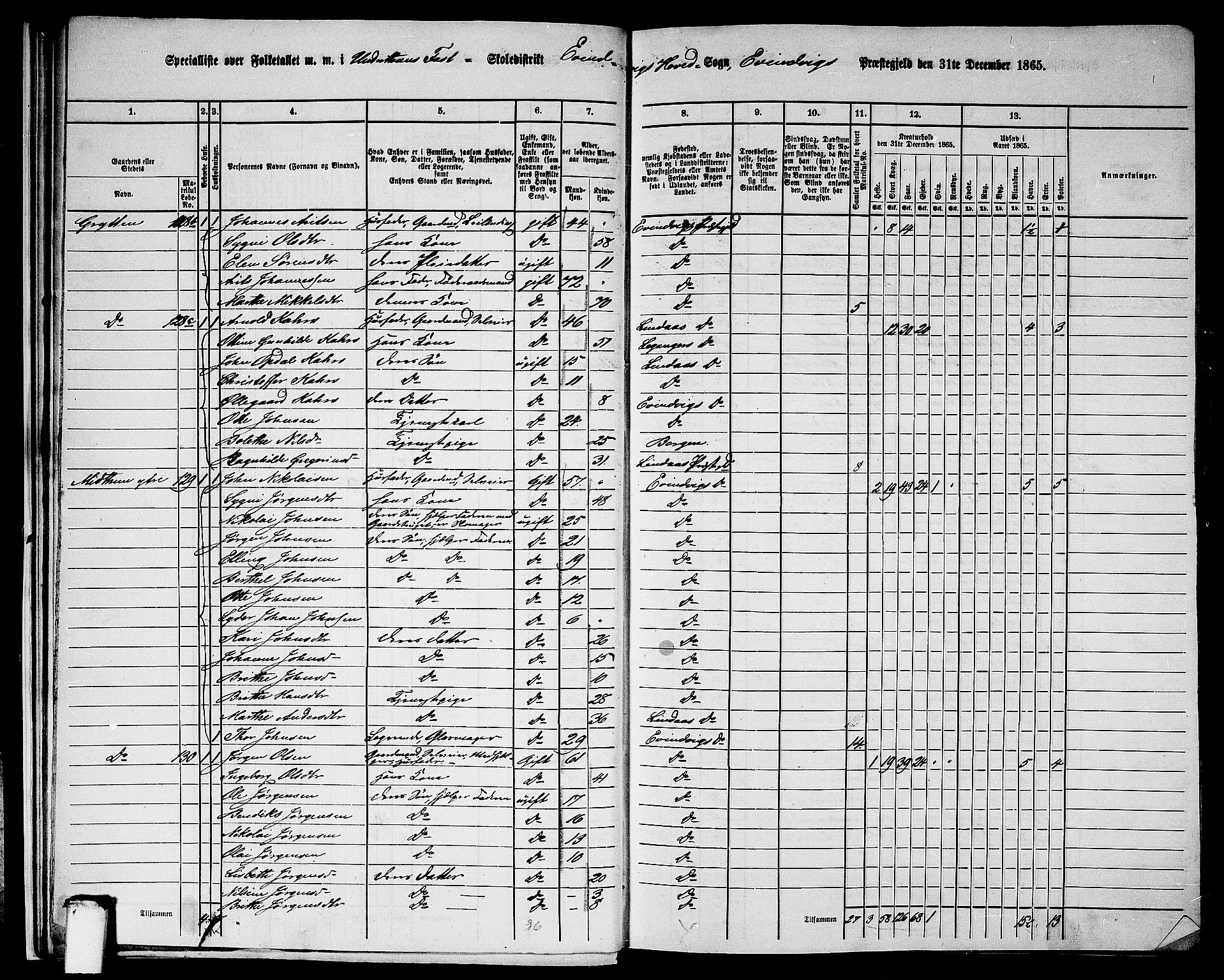 RA, 1865 census for Eivindvik, 1865, p. 20