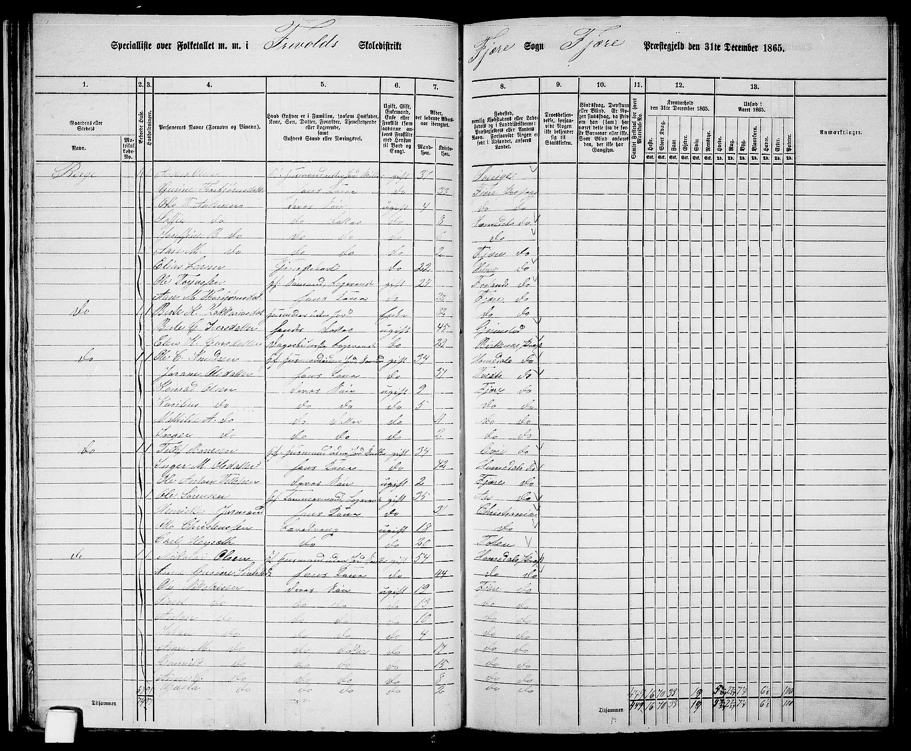 RA, 1865 census for Fjære/Fjære, 1865, p. 30