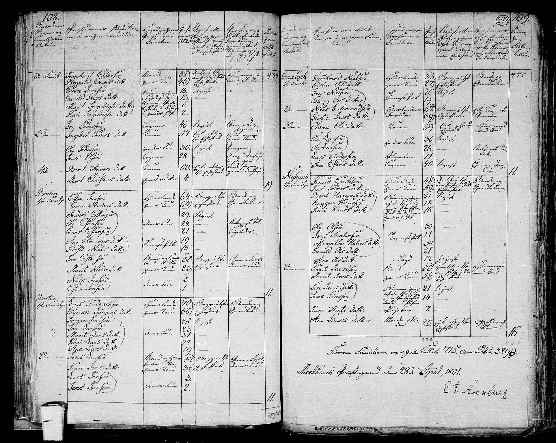 RA, 1801 census for 1653P Melhus, 1801, p. 242b-243a