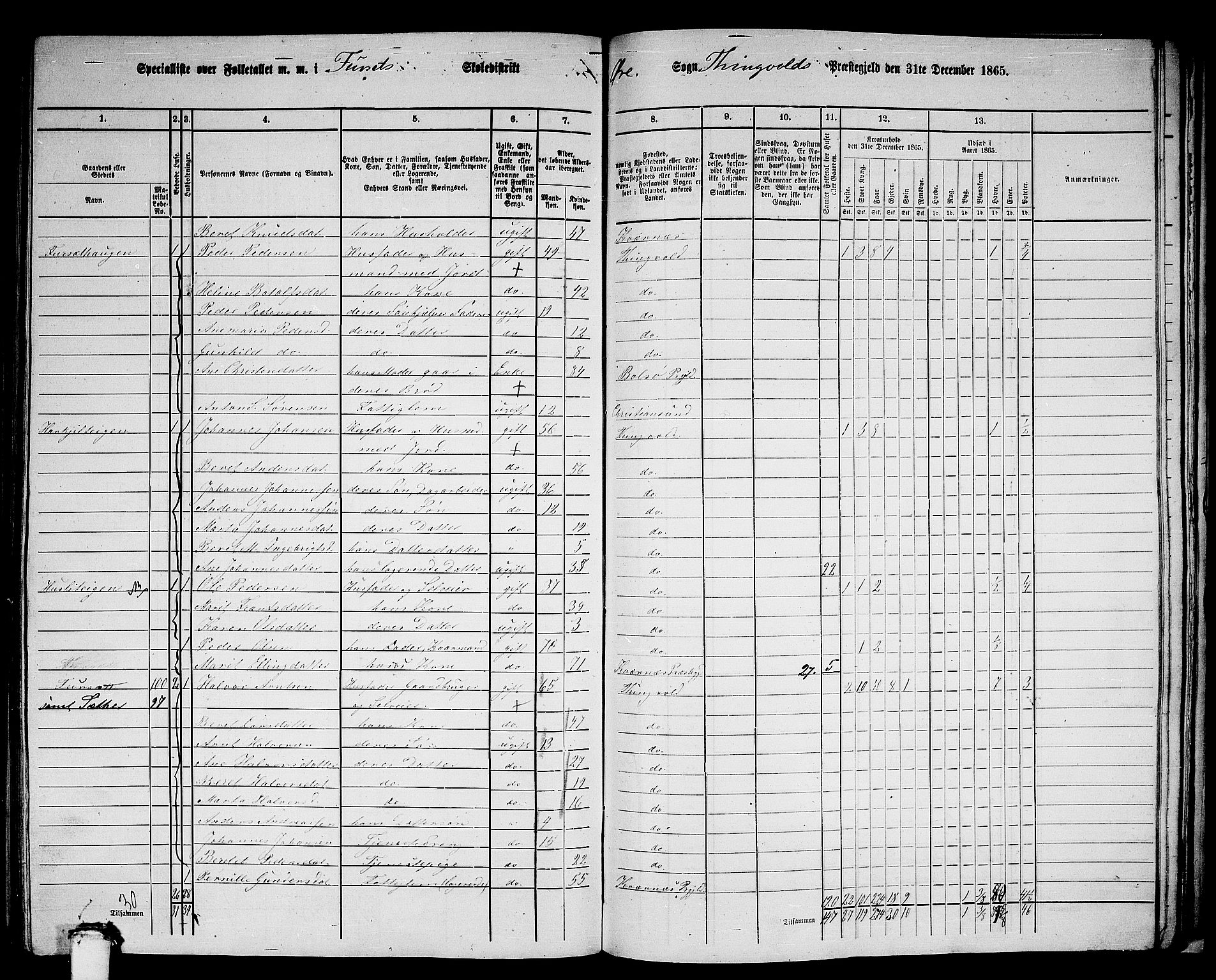 RA, 1865 census for Tingvoll, 1865, p. 214