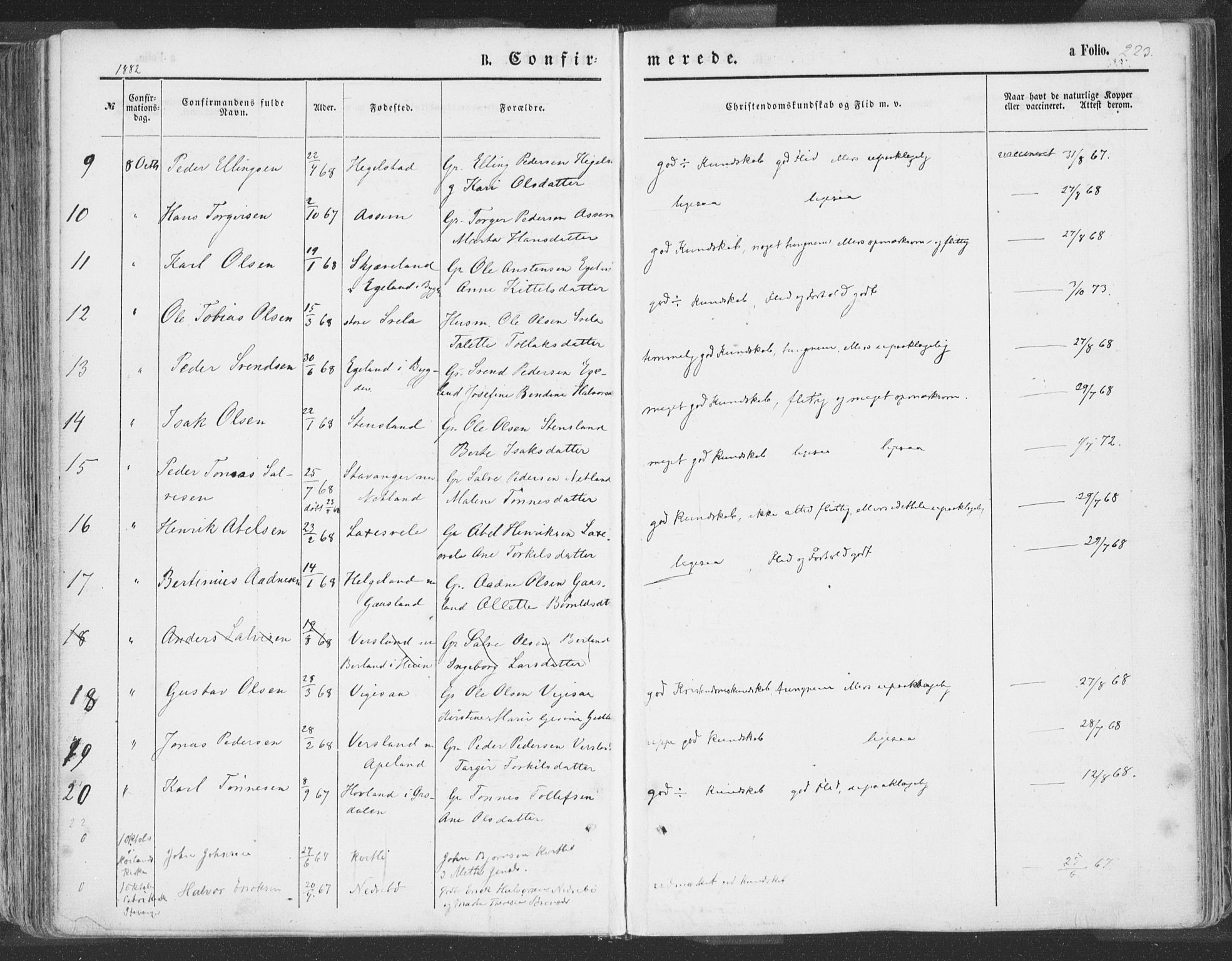Helleland sokneprestkontor, SAST/A-101810: Parish register (official) no. A 7.1, 1863-1886, p. 223