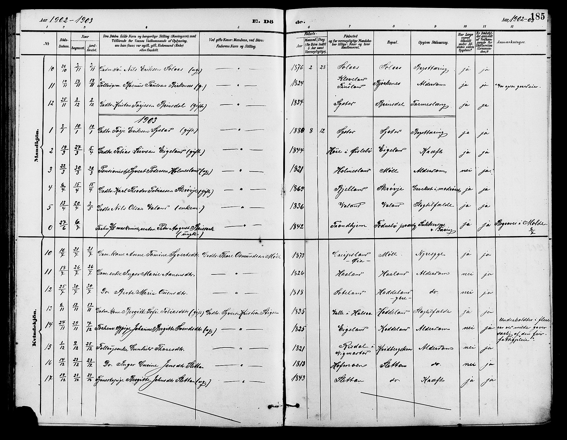 Holum sokneprestkontor, SAK/1111-0022/F/Fb/Fba/L0005: Parish register (copy) no. B 5, 1891-1909, p. 185