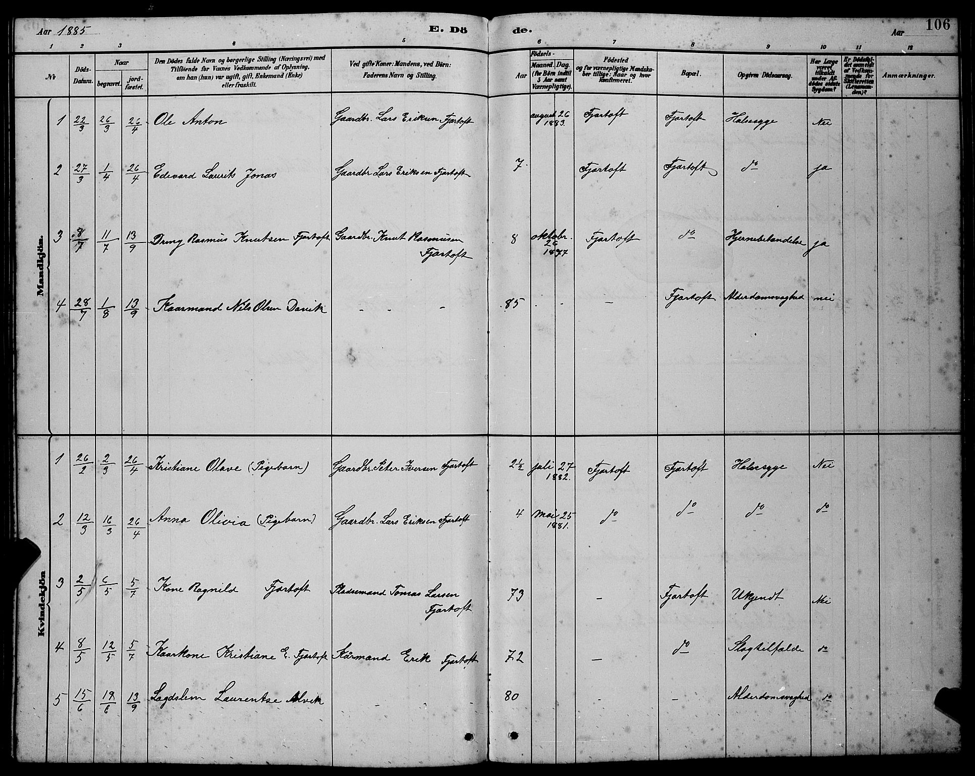 Ministerialprotokoller, klokkerbøker og fødselsregistre - Møre og Romsdal, AV/SAT-A-1454/538/L0523: Parish register (copy) no. 538C01, 1881-1900, p. 106
