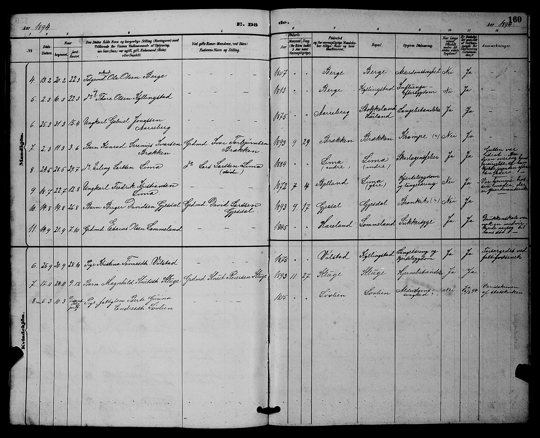 Lye sokneprestkontor, AV/SAST-A-101794/001/30BB/L0008: Parish register (copy) no. B 7, 1887-1901, p. 160