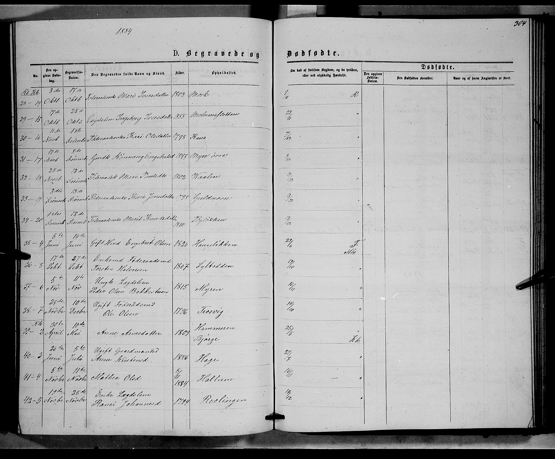 Ringebu prestekontor, AV/SAH-PREST-082/H/Ha/Hab/L0006: Parish register (copy) no. 6, 1880-1898, p. 304