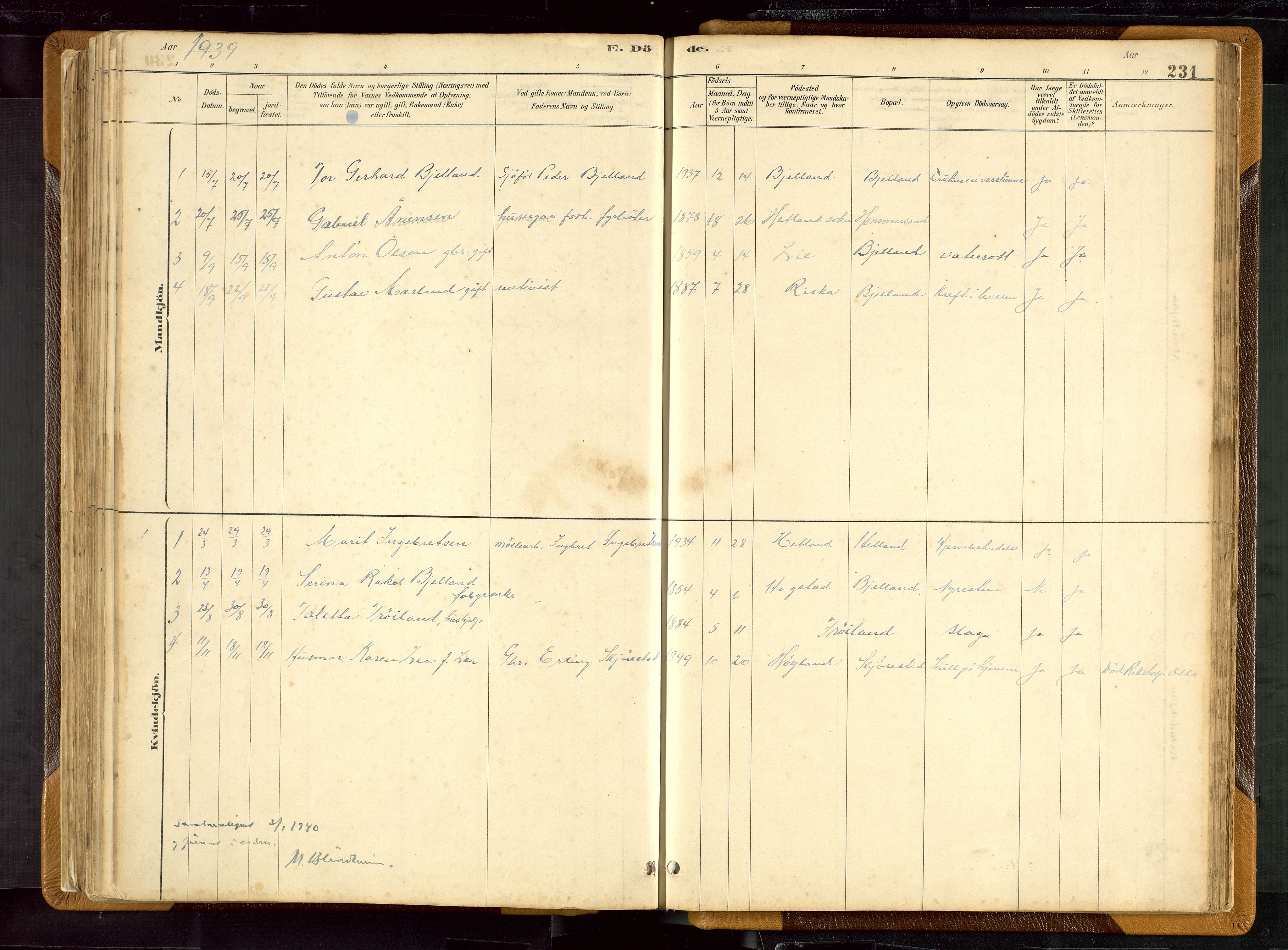 Hetland sokneprestkontor, SAST/A-101826/30/30BB/L0007: Parish register (copy) no. B 7, 1878-1910, p. 231