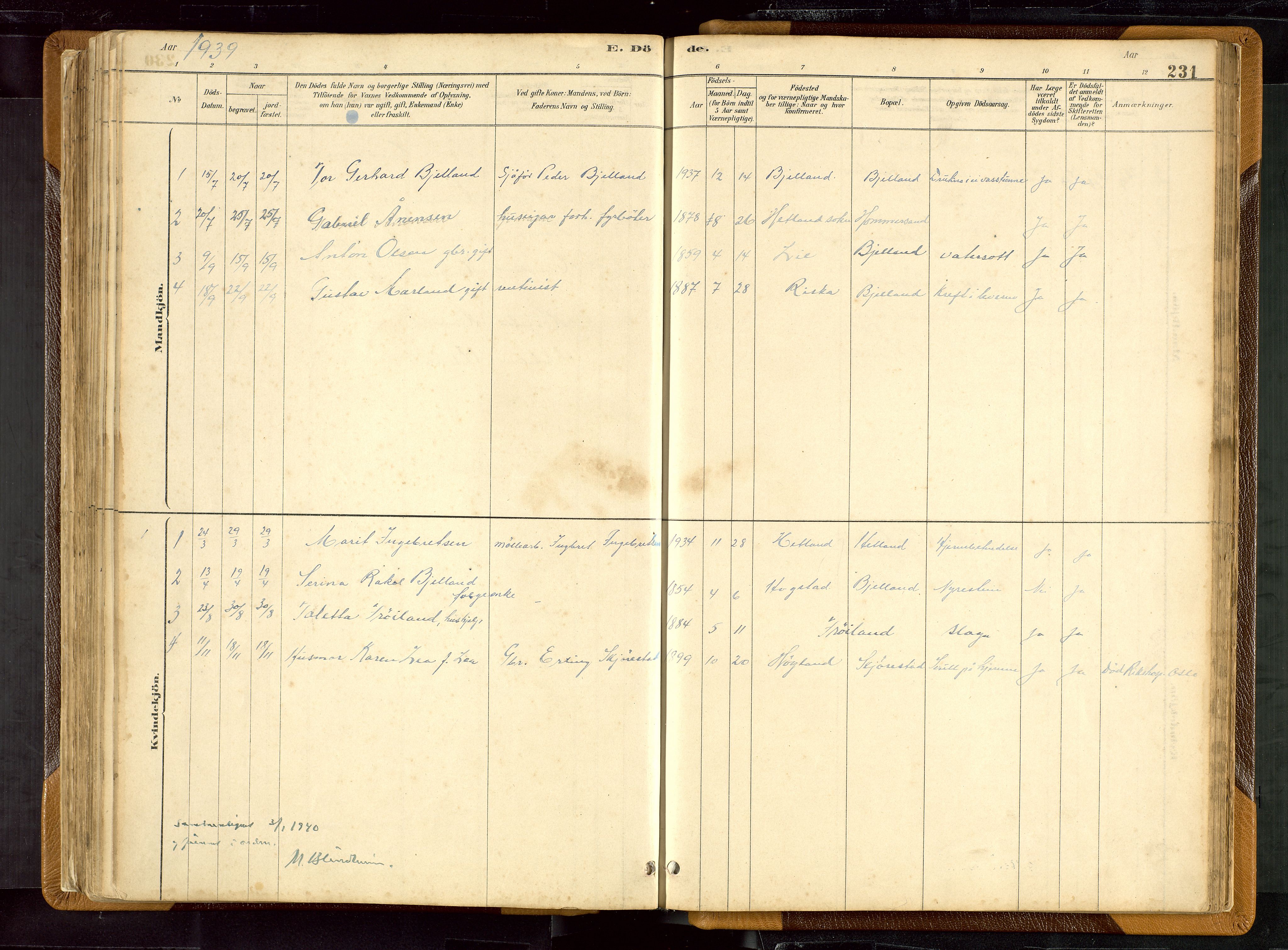 Hetland sokneprestkontor, AV/SAST-A-101826/30/30BB/L0007: Parish register (copy) no. B 7, 1878-1910, p. 231