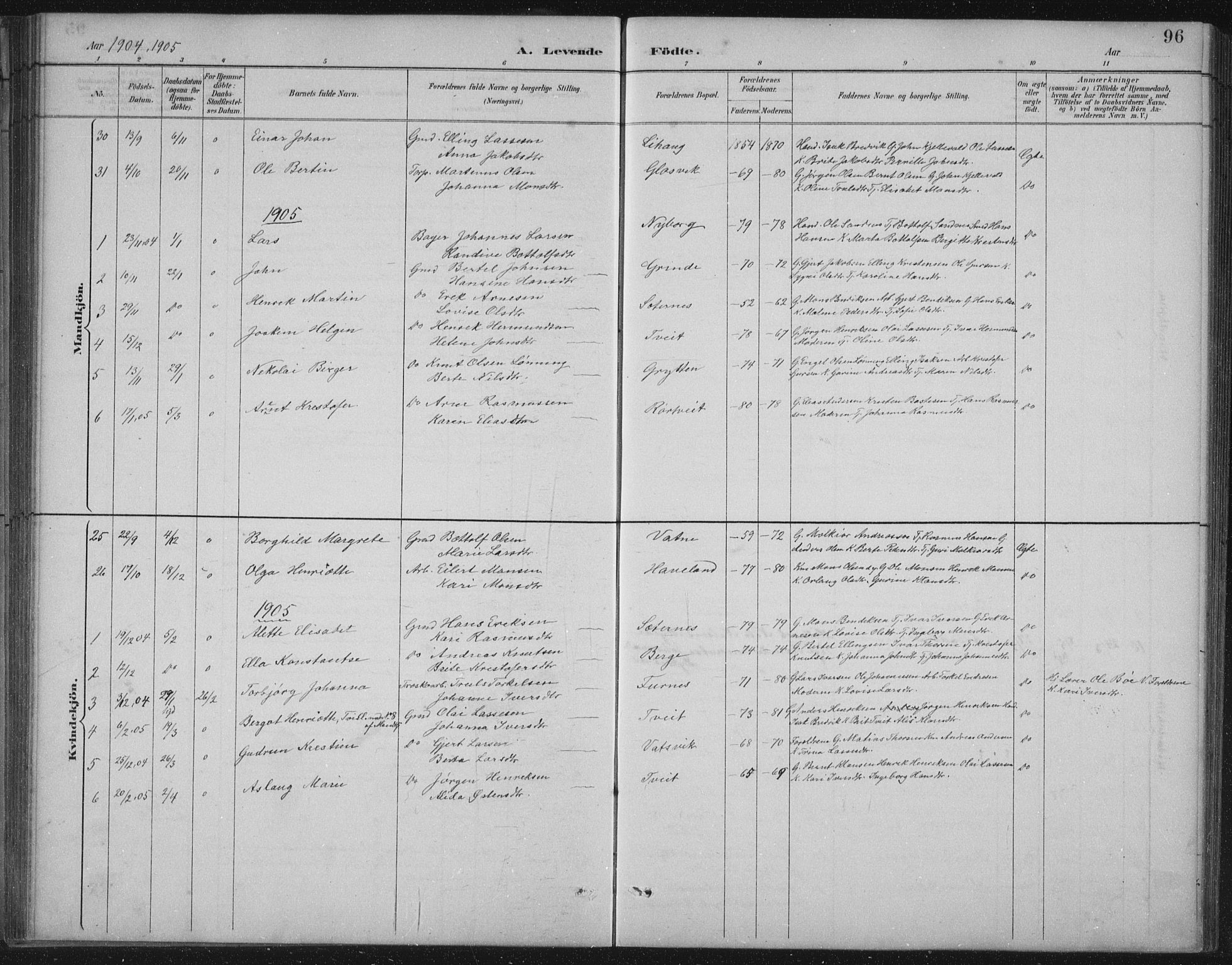 Gulen sokneprestembete, AV/SAB-A-80201/H/Hab/Habb/L0003: Parish register (copy) no. B 3, 1884-1907, p. 96