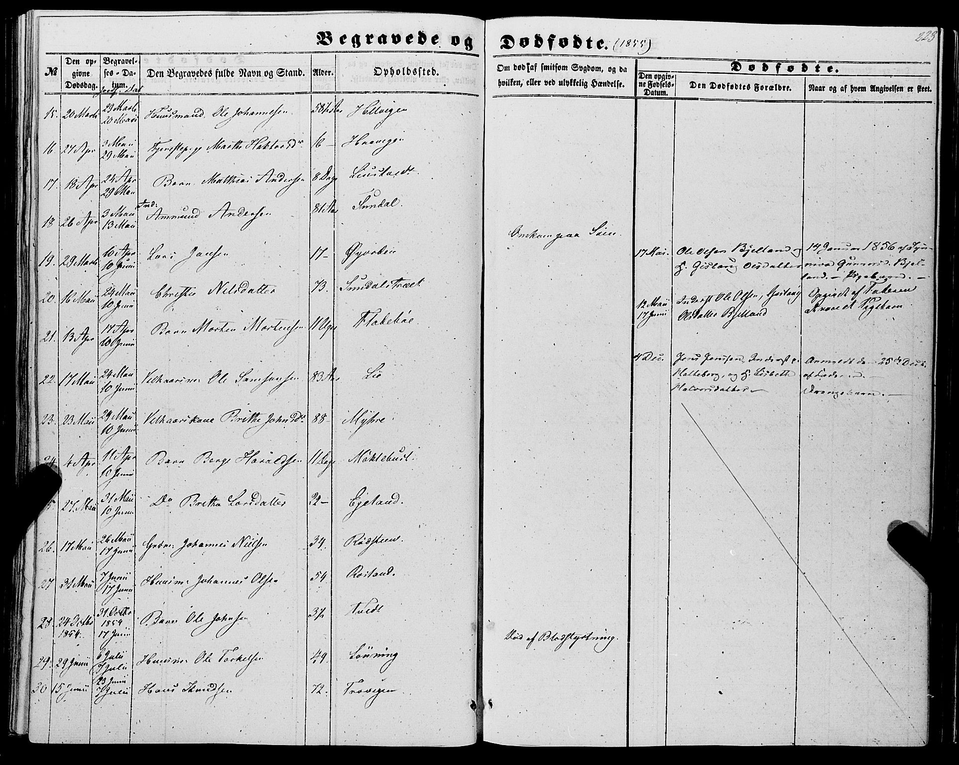 Kvinnherad sokneprestembete, AV/SAB-A-76401/H/Haa: Parish register (official) no. A 8, 1854-1872, p. 223