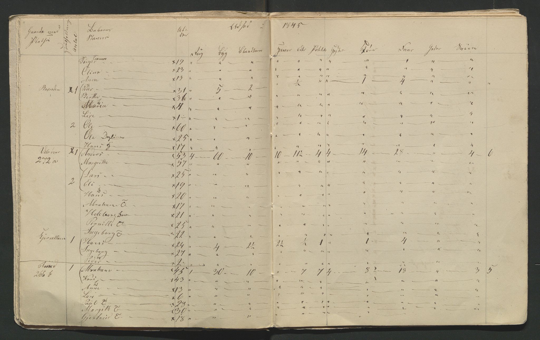 SAH, 1845 Census for Jevnaker parish, 1845, p. 53