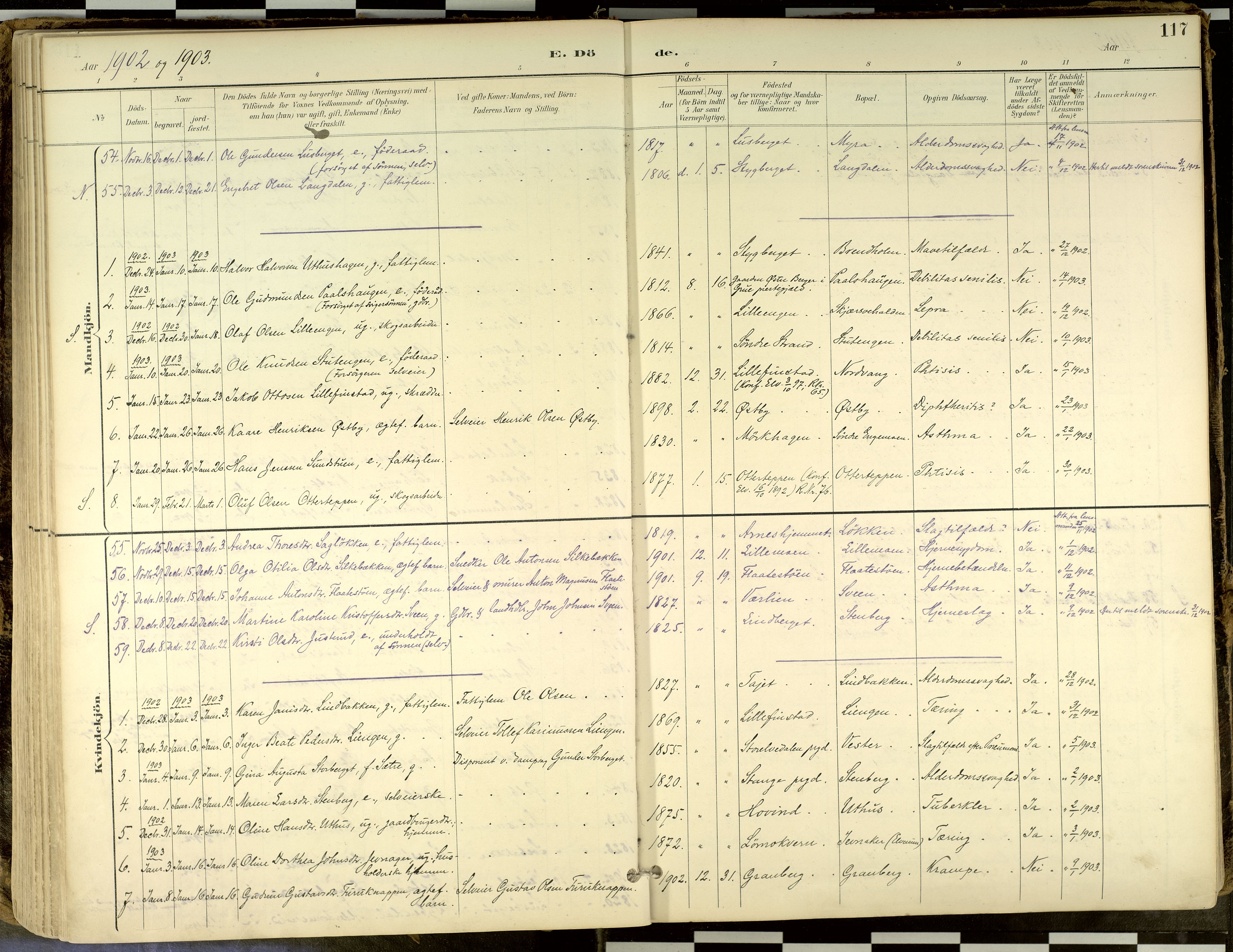 Elverum prestekontor, SAH/PREST-044/H/Ha/Haa/L0018: Parish register (official) no. 18, 1894-1914, p. 117