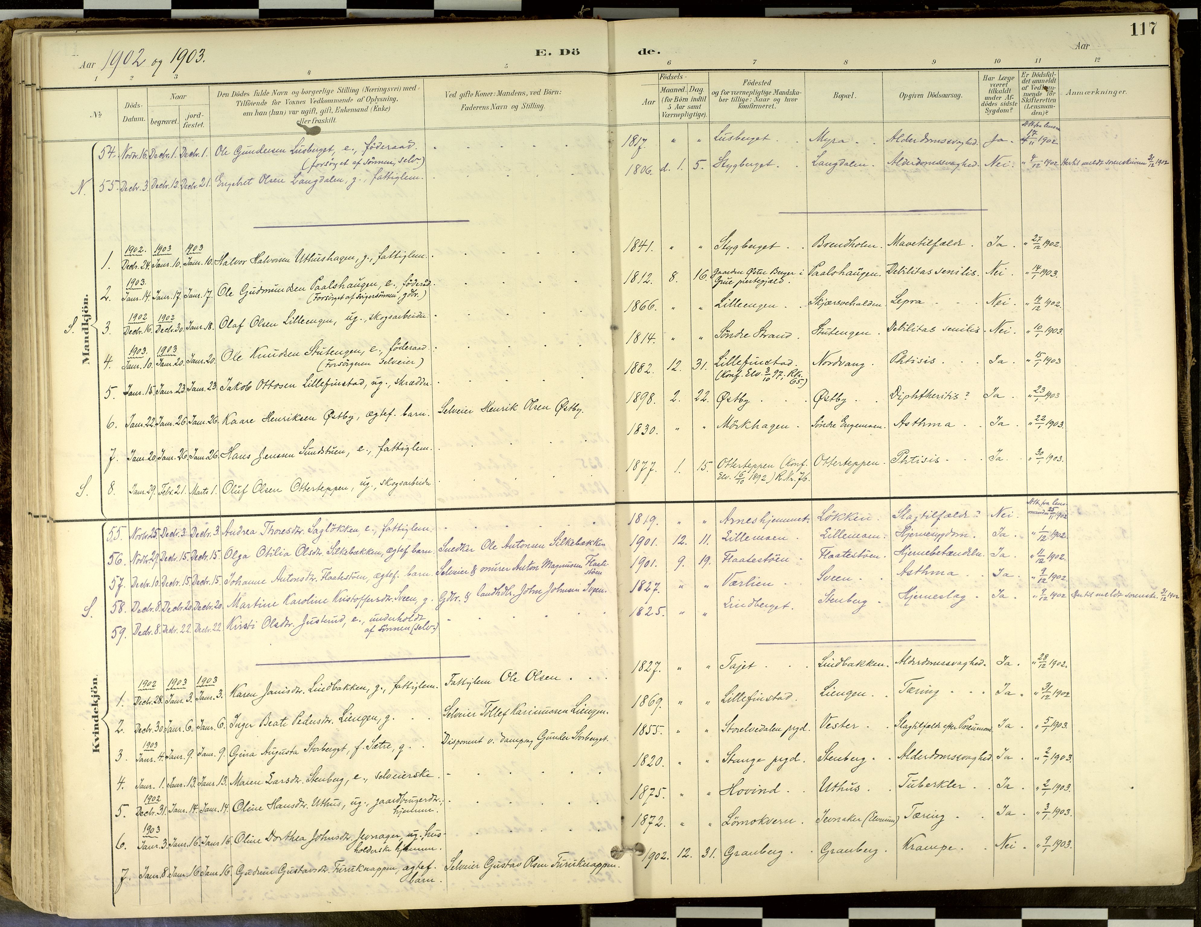 Elverum prestekontor, AV/SAH-PREST-044/H/Ha/Haa/L0018: Parish register (official) no. 18, 1894-1914, p. 117