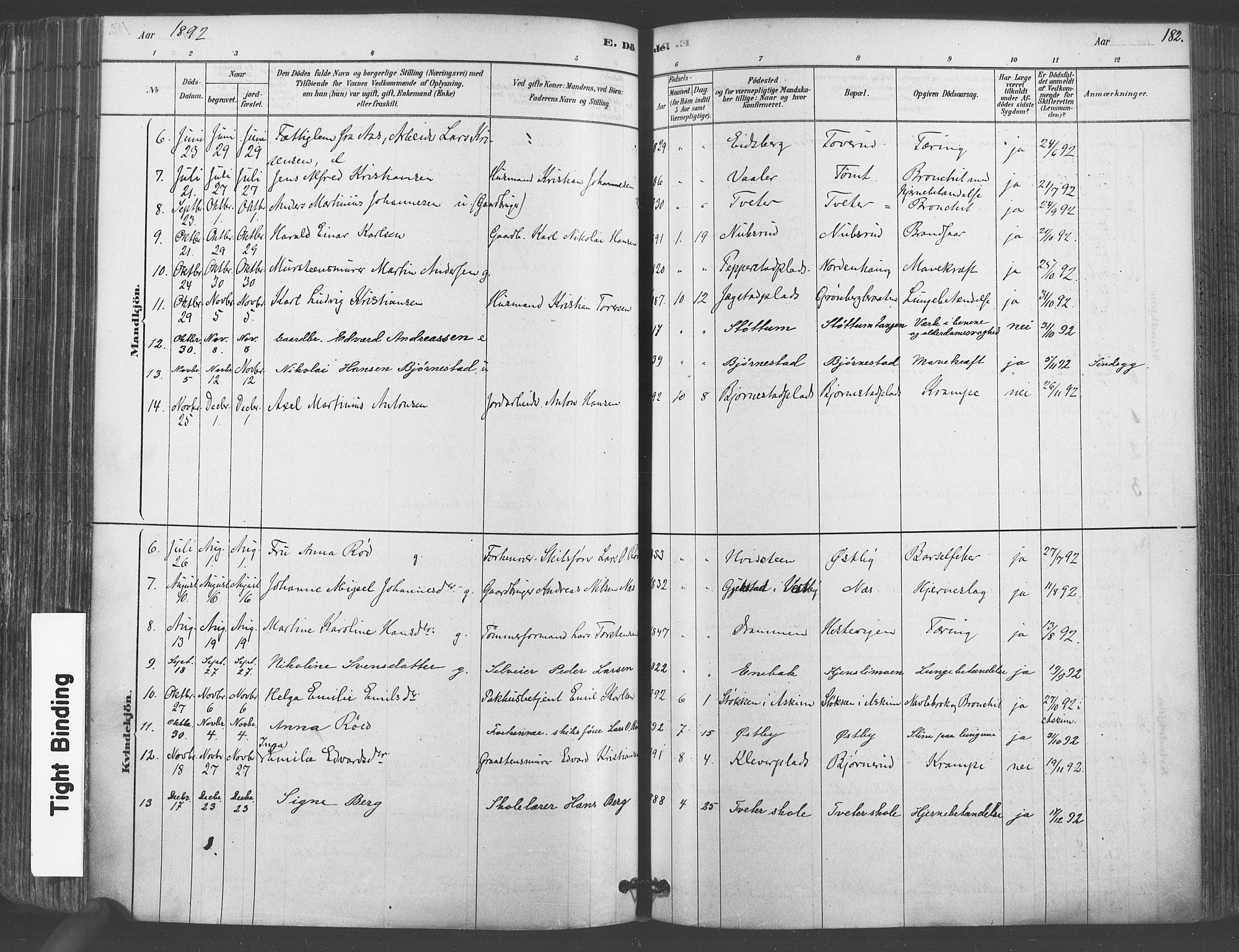 Vestby prestekontor Kirkebøker, AV/SAO-A-10893/F/Fa/L0009: Parish register (official) no. I 9, 1878-1900, p. 182