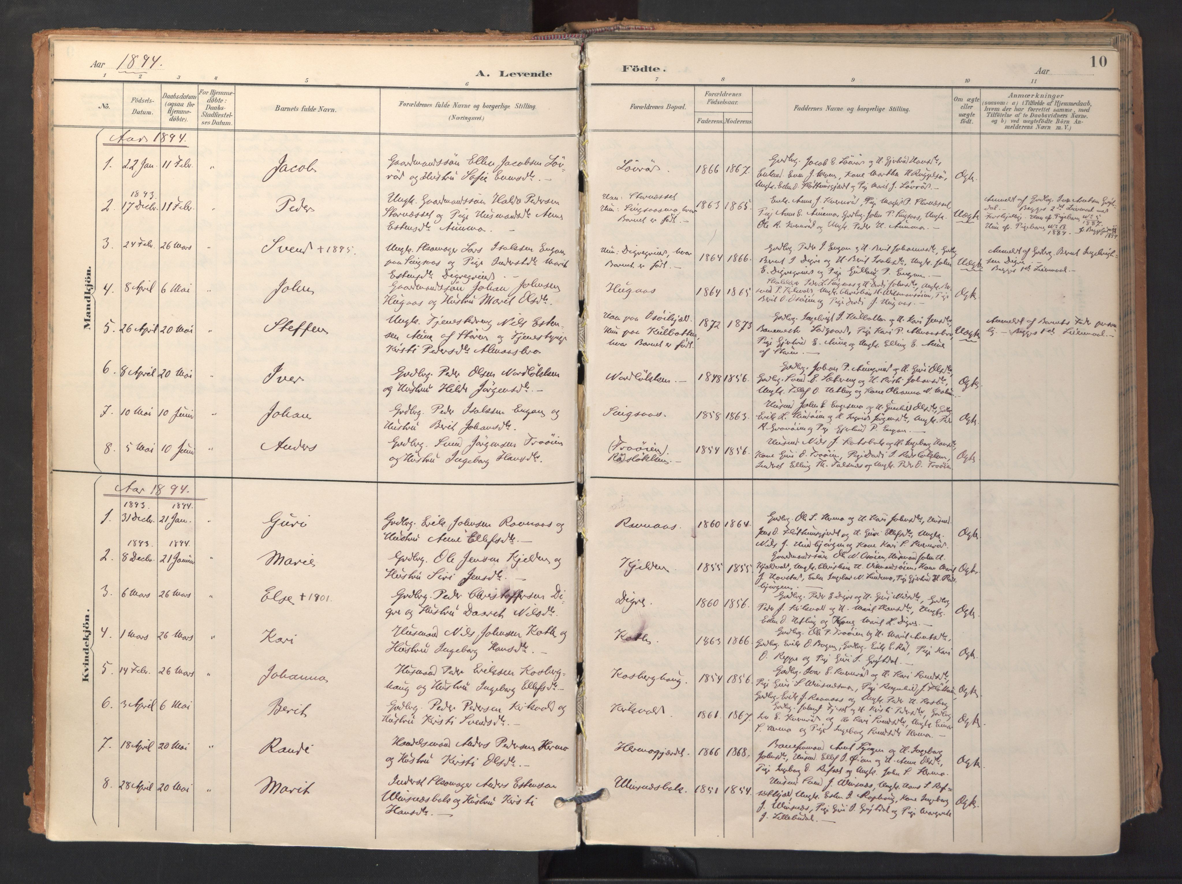 Ministerialprotokoller, klokkerbøker og fødselsregistre - Sør-Trøndelag, SAT/A-1456/688/L1025: Parish register (official) no. 688A02, 1891-1909, p. 10