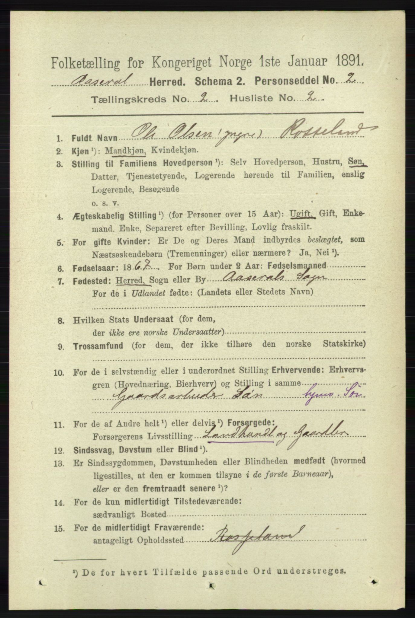 RA, 1891 census for 1026 Åseral, 1891, p. 394