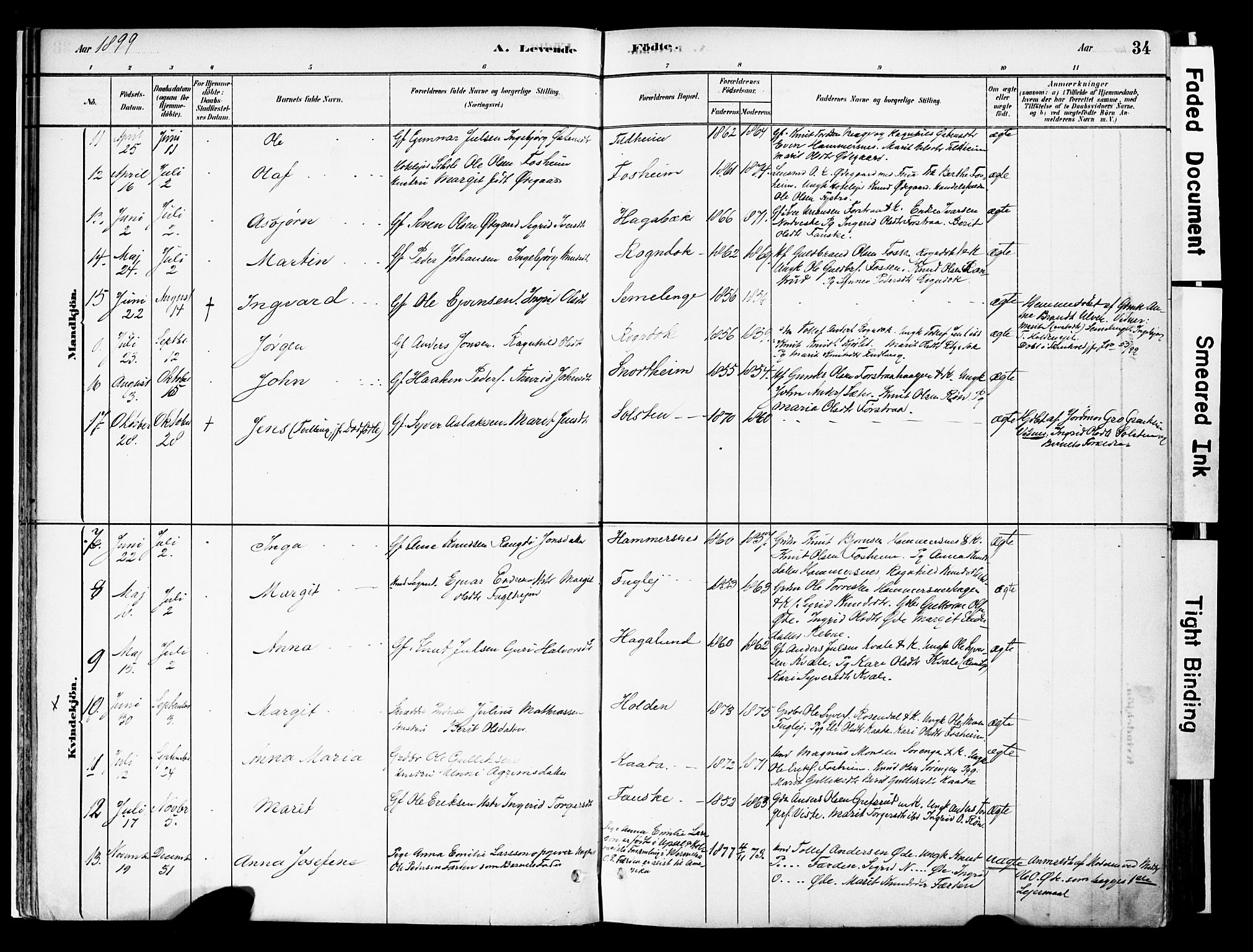 Vestre Slidre prestekontor, SAH/PREST-136/H/Ha/Haa/L0006: Parish register (official) no. 6, 1881-1912, p. 34