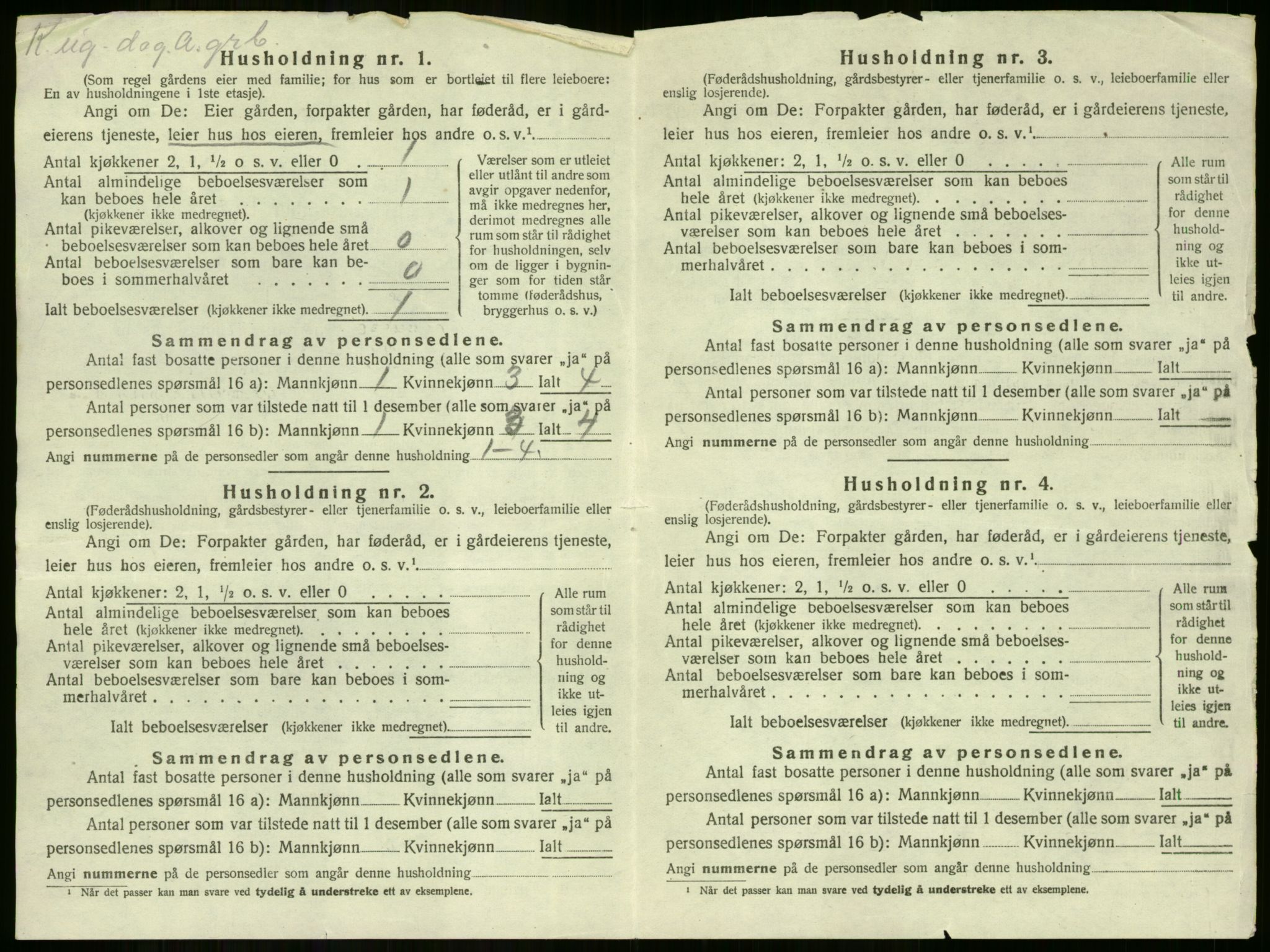 SAKO, 1920 census for Hole, 1920, p. 968