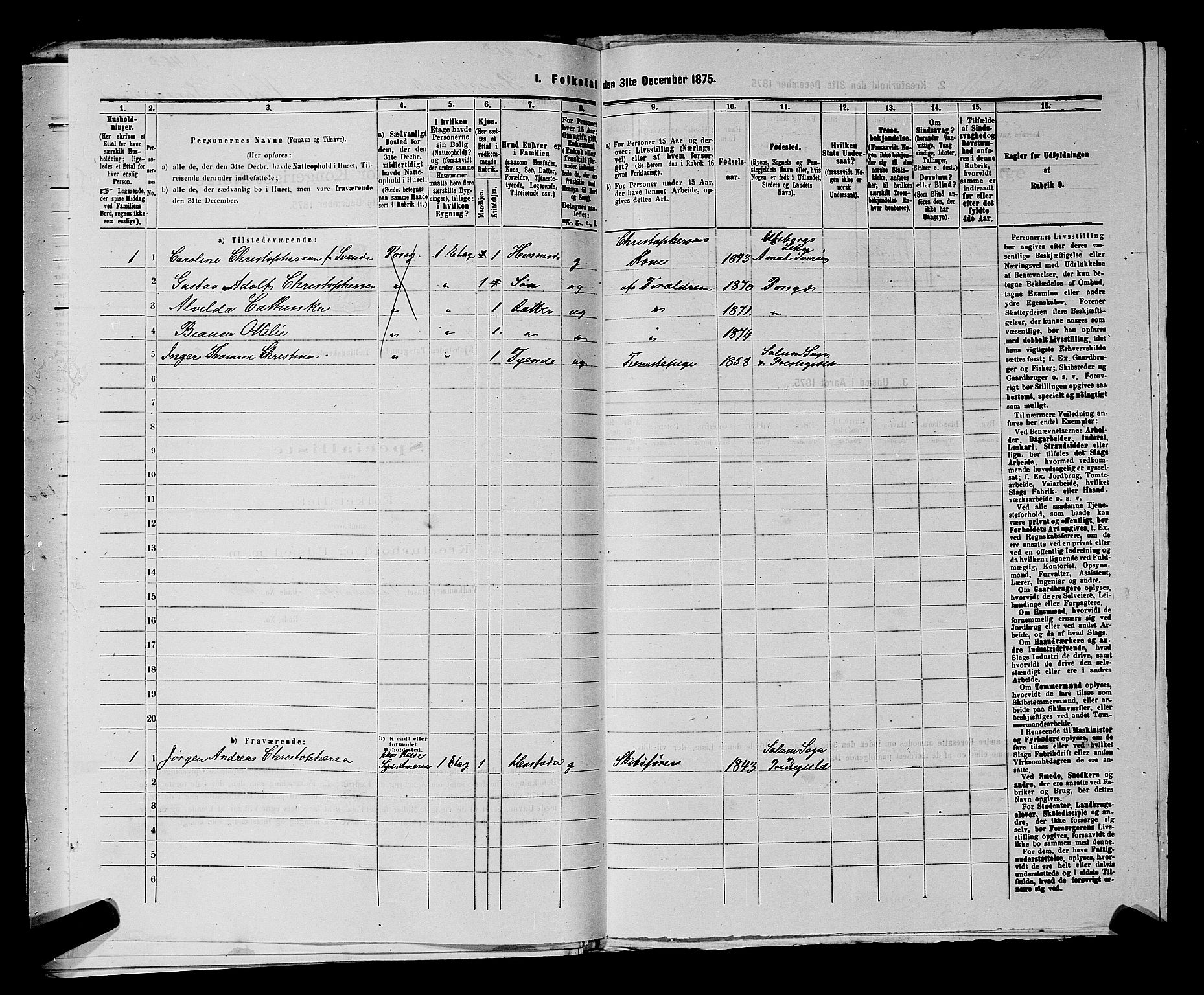 SAKO, 1875 census for 0805P Porsgrunn, 1875, p. 868