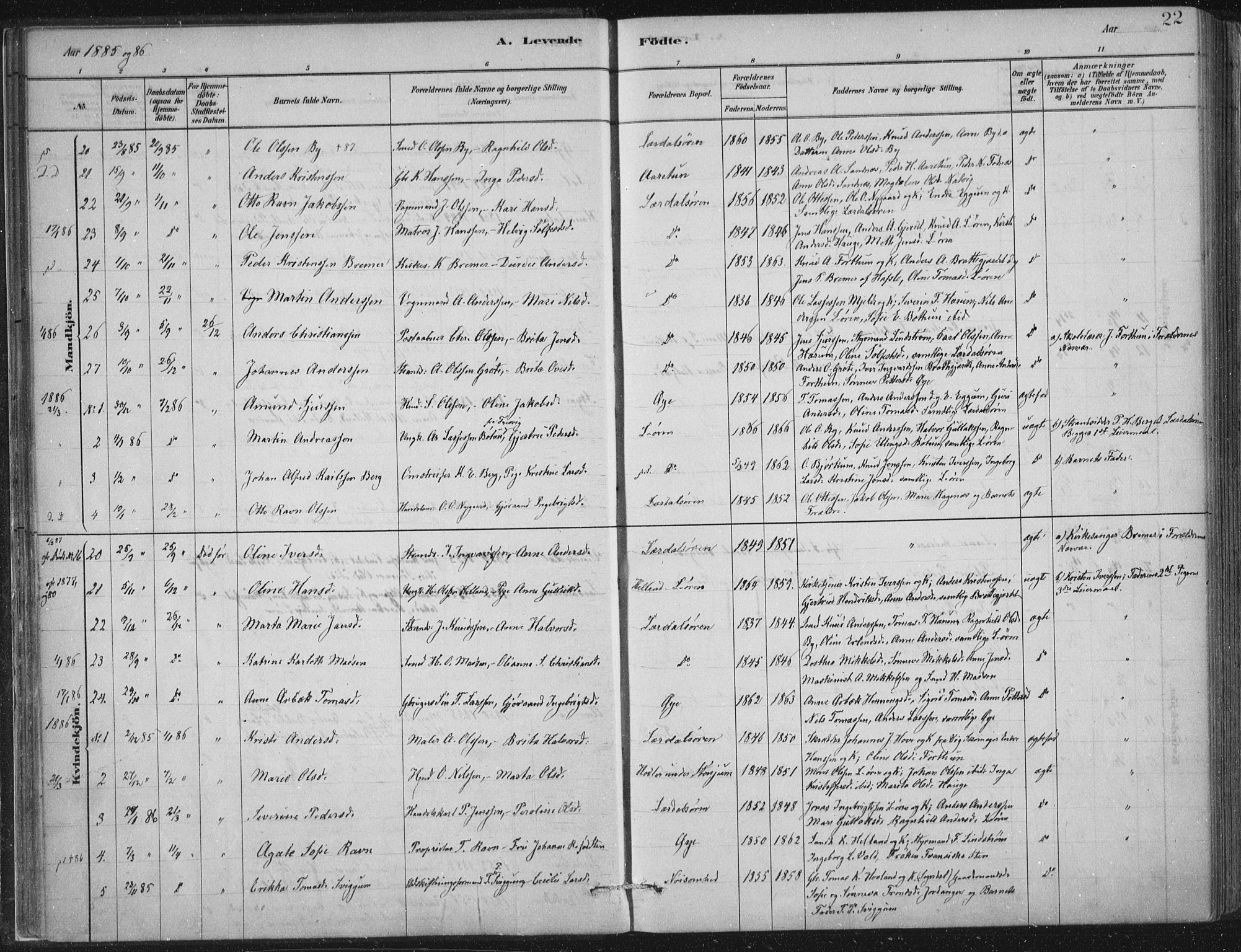 Lærdal sokneprestembete, AV/SAB-A-81201: Parish register (official) no. D  1, 1878-1908, p. 22