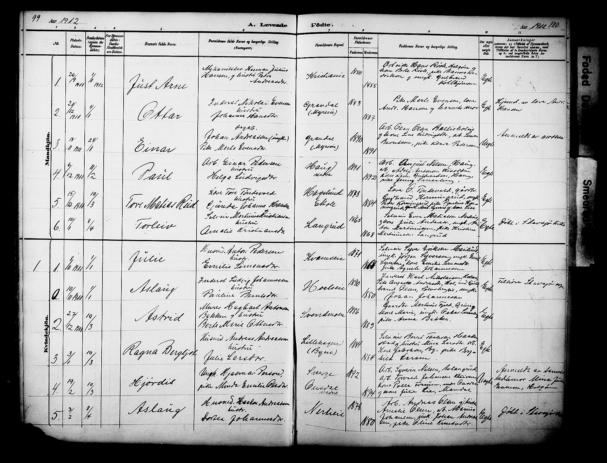 Nes prestekontor, Hedmark, AV/SAH-PREST-020/L/La/L0006: Parish register (copy) no. 6, 1890-1932, p. 99-100